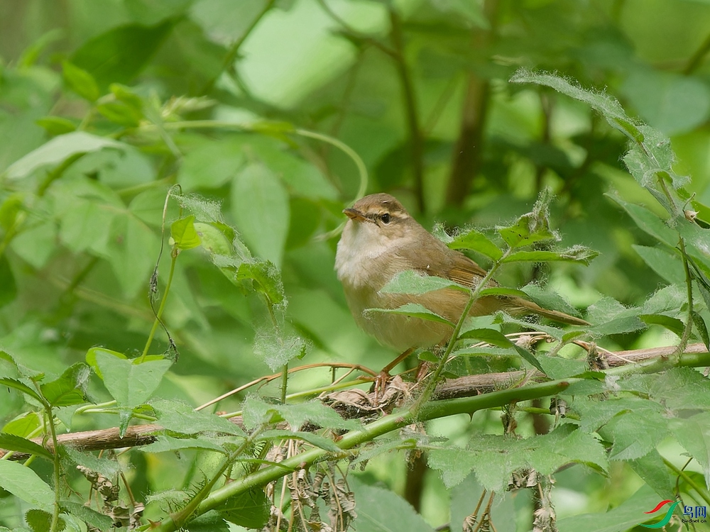 P5110337_DxO - ����.jpg