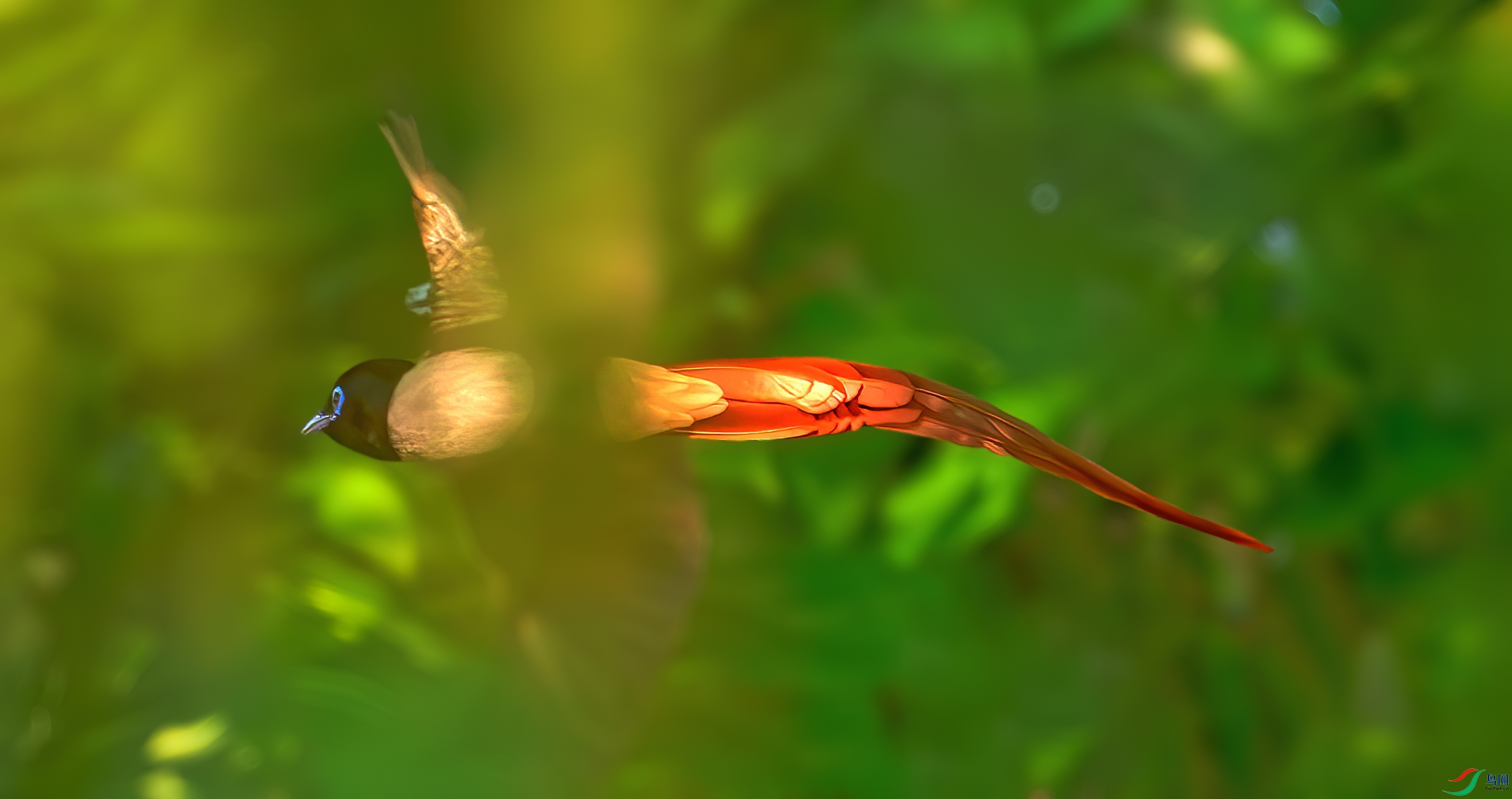 _PN15161-1.jpg