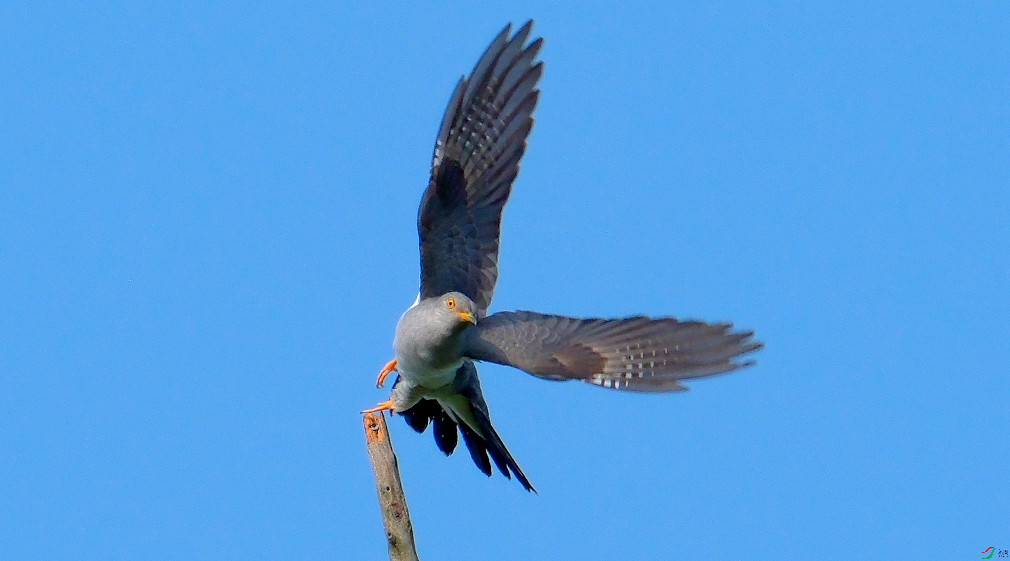 DSCF8909-1.jpg