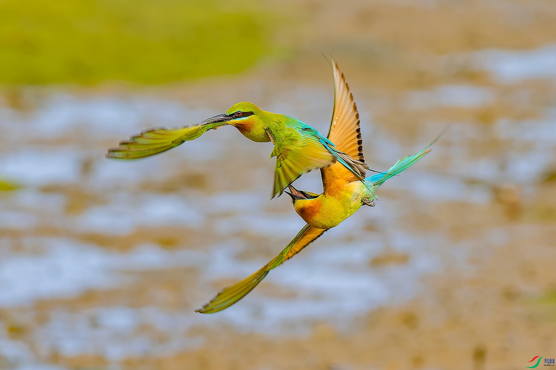 ��ֳ�ڵ����� ����.jpg