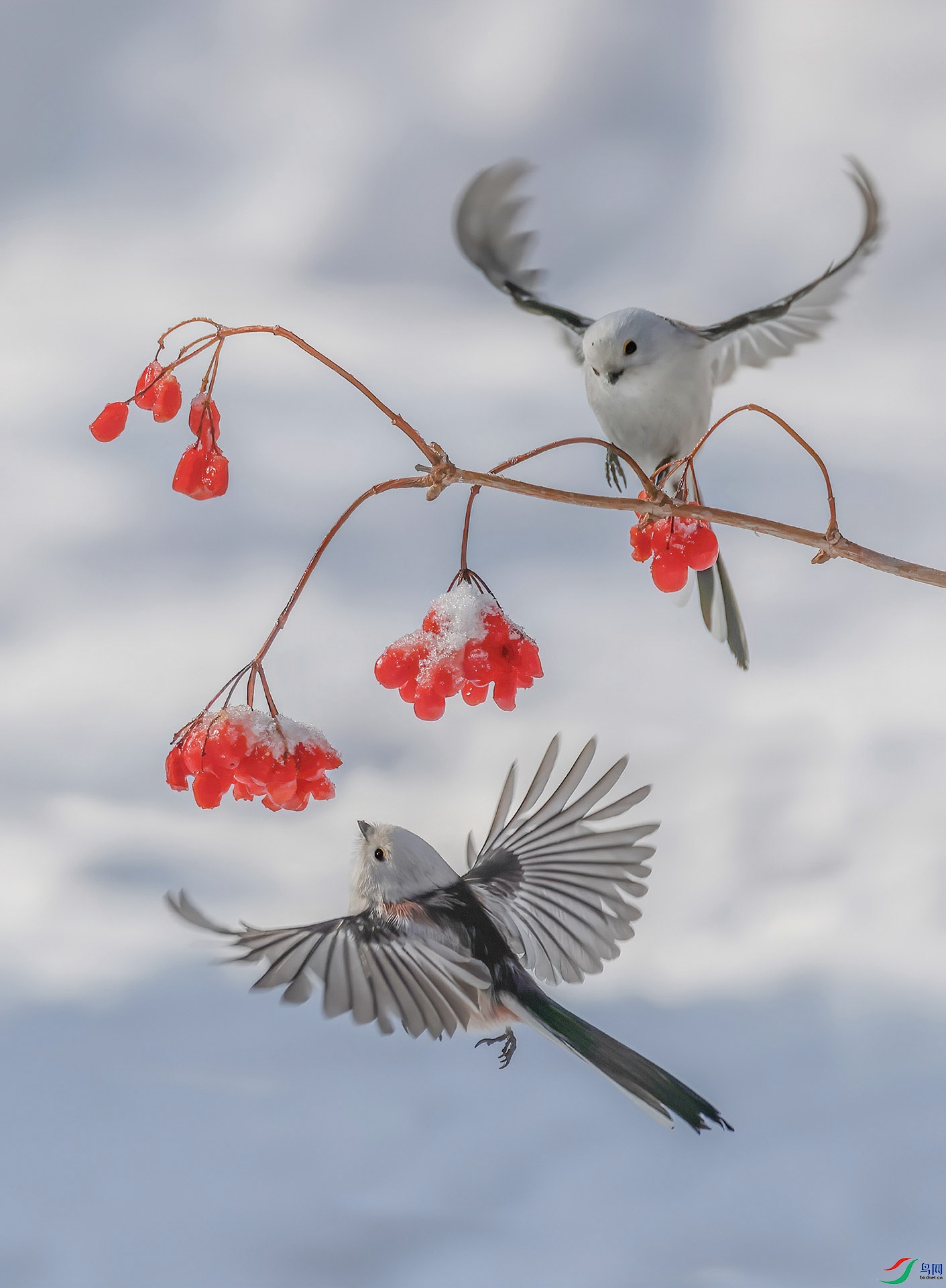 ����βɽȸ A3922--333.jpg