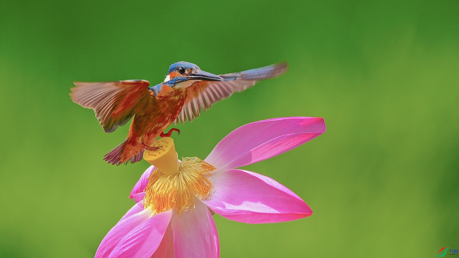 1_XXI6772 ����.jpeg