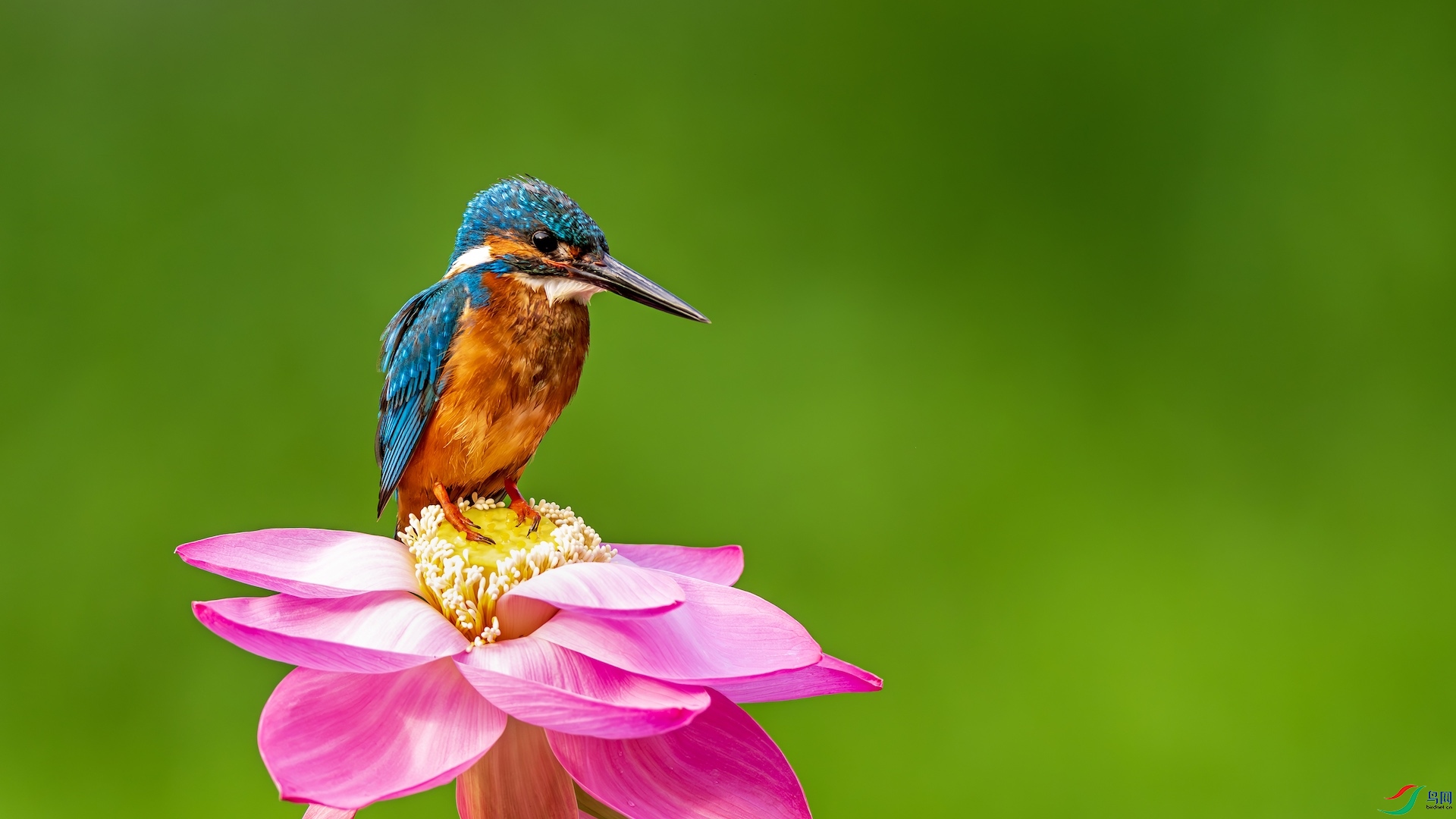 1_XXI7616-����ǿ-NR ����.jpg2.jpeg