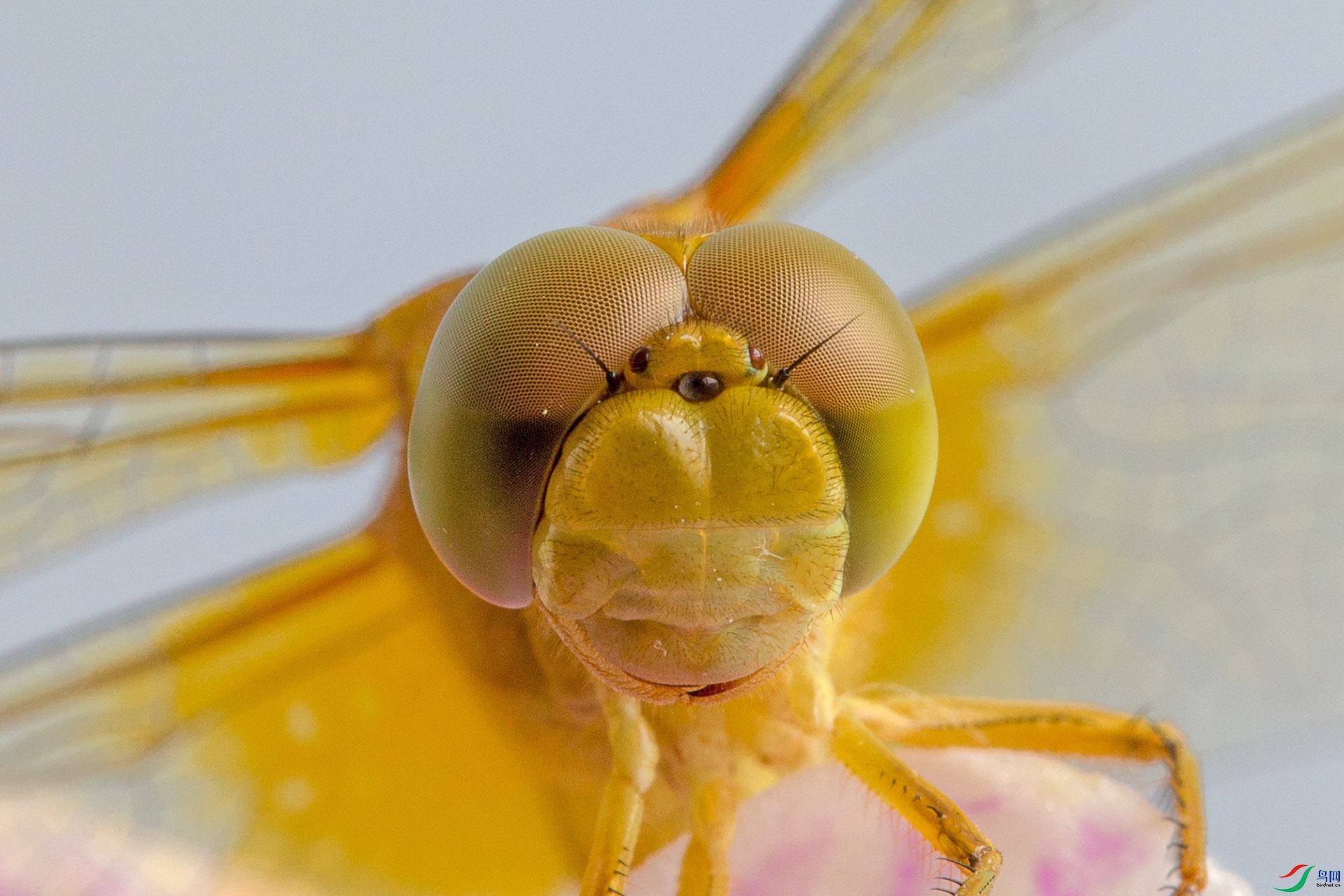 N38A7419.jpg