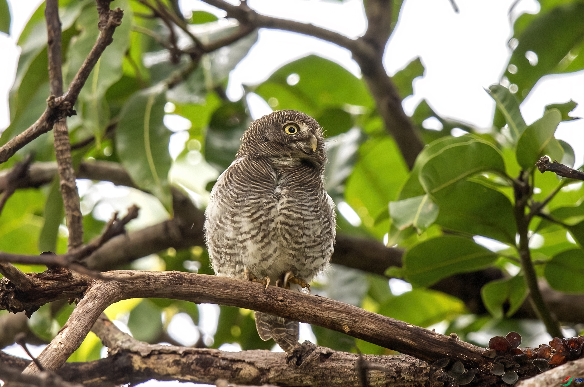 AC3I5986 ����.jpg