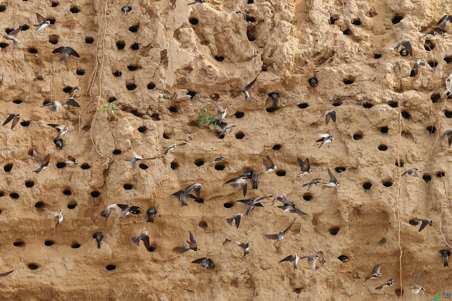 5��24�� (1)(2) ���� 2.jpg