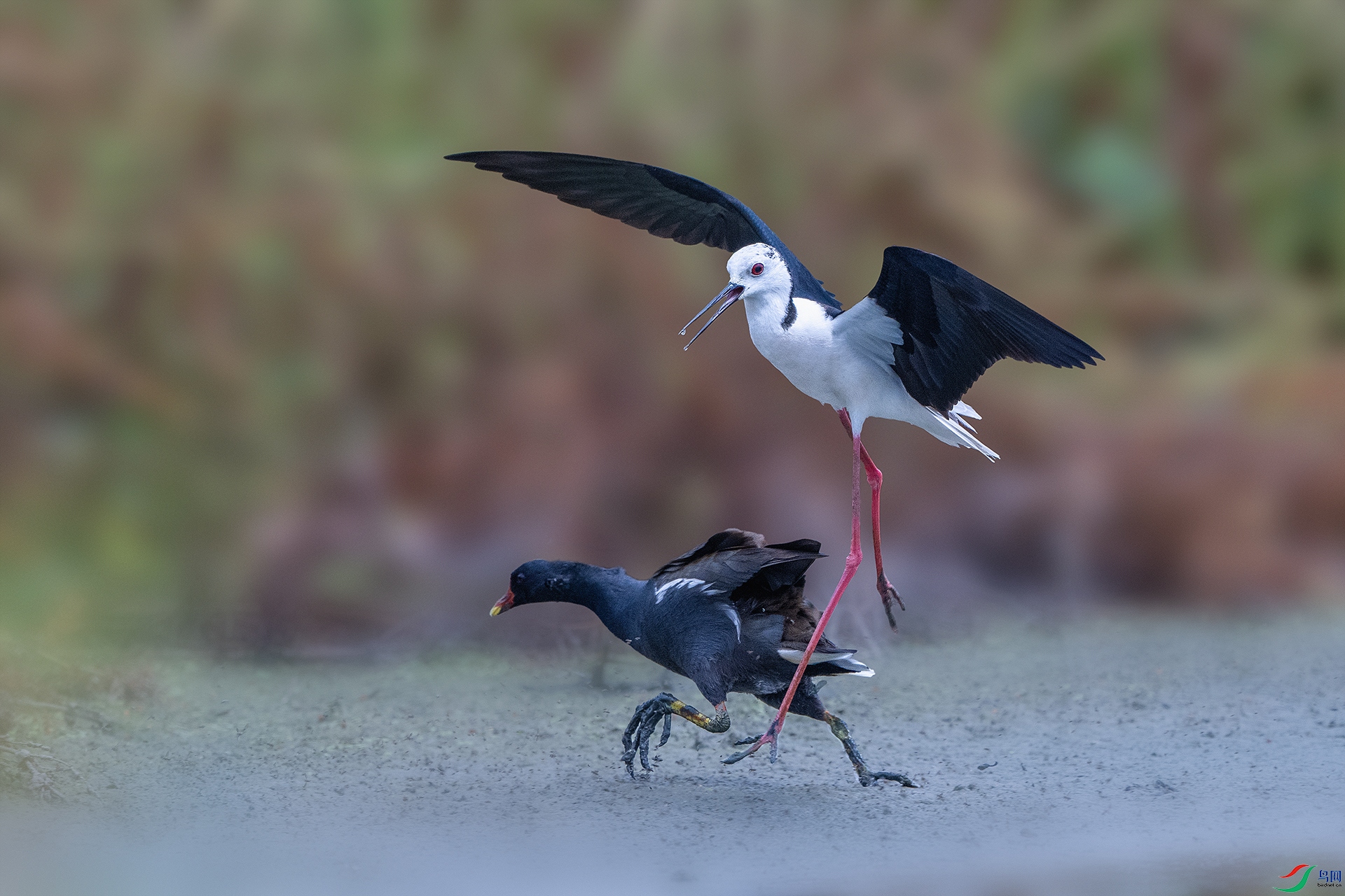 _DSC1284 ����.jpg