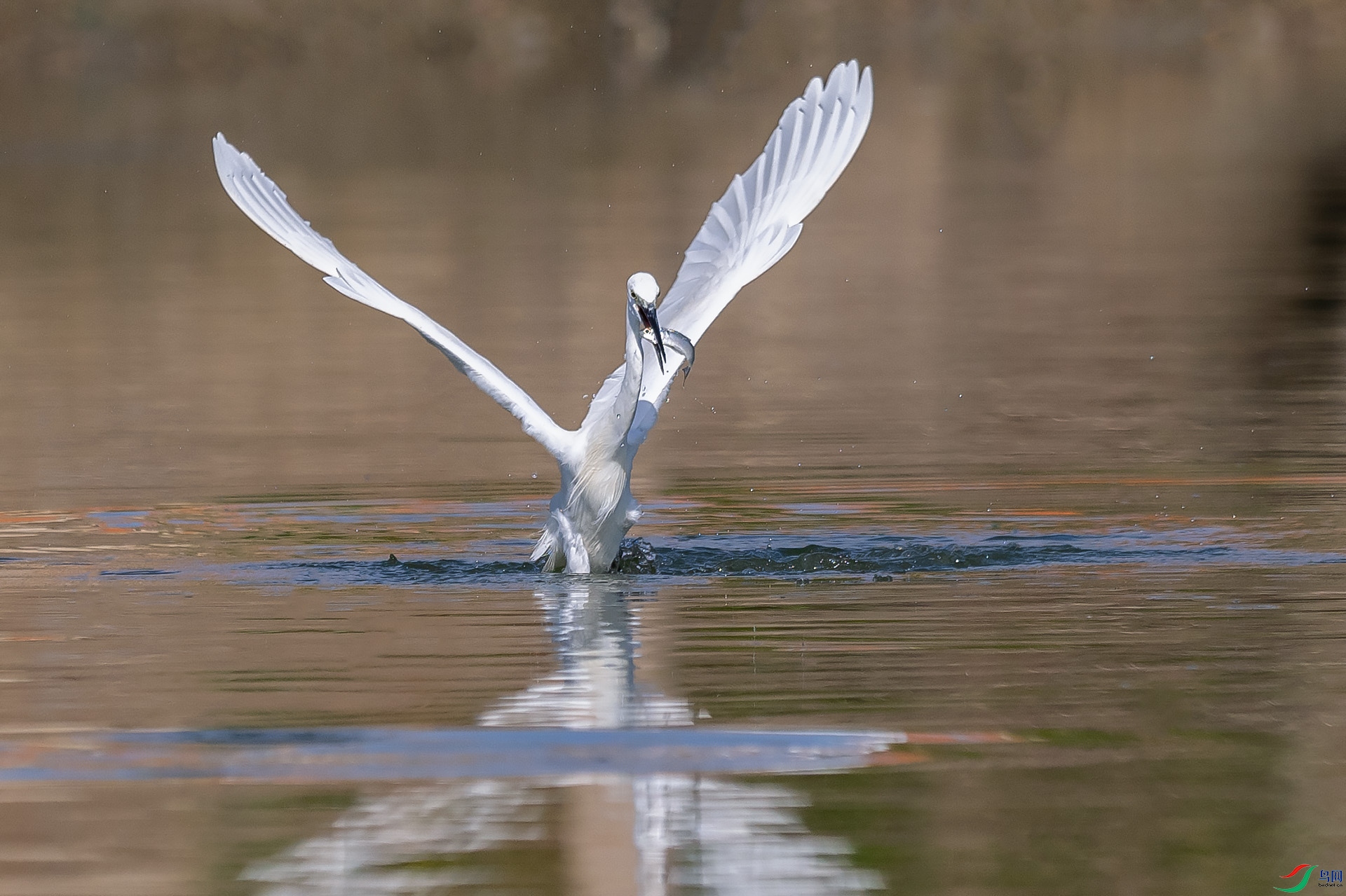 DSC_0005.jpg