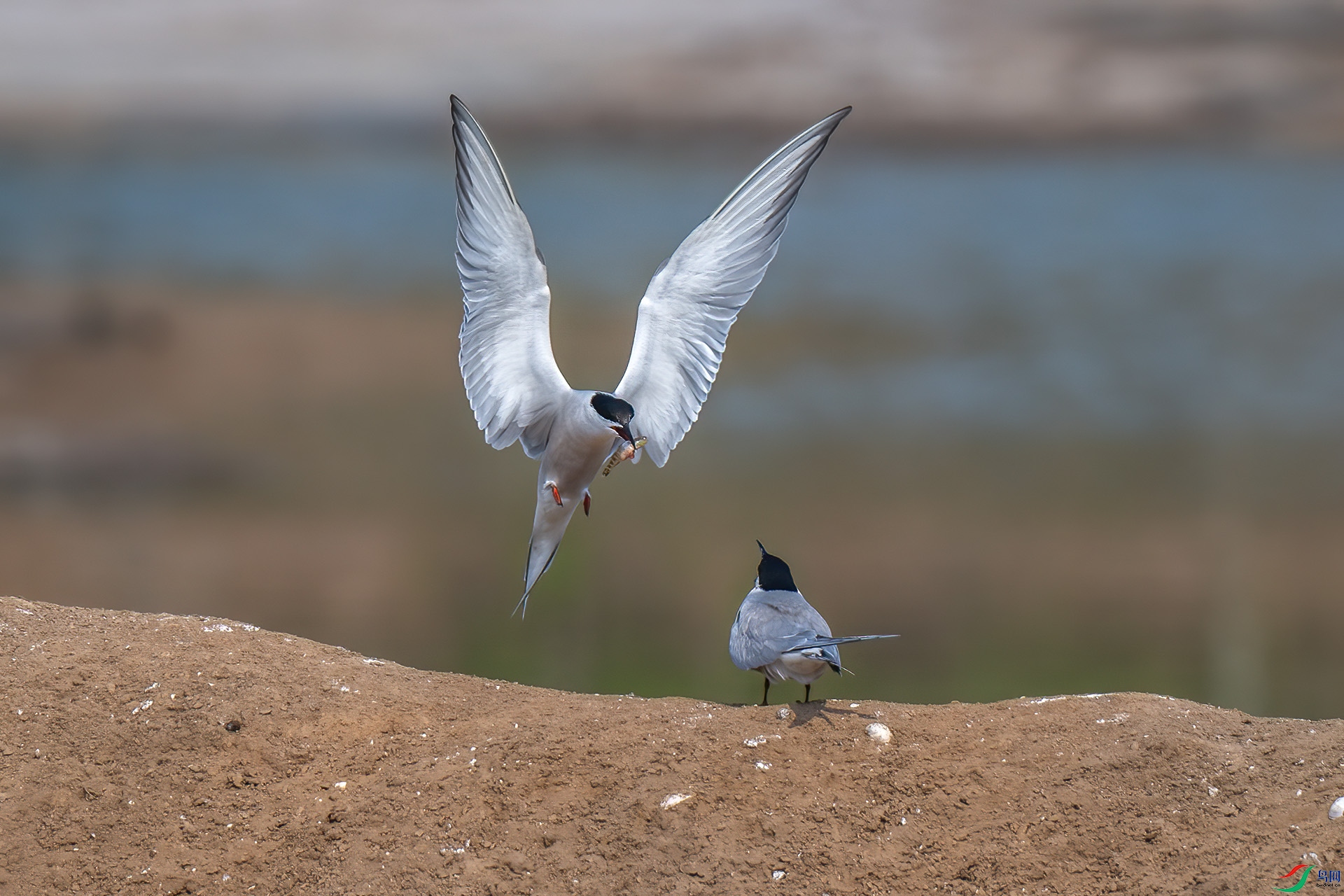 DSC_3459.jpg