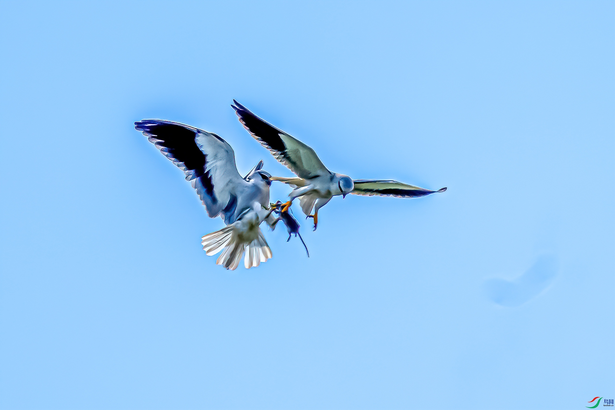 DSC_8126-11.jpg