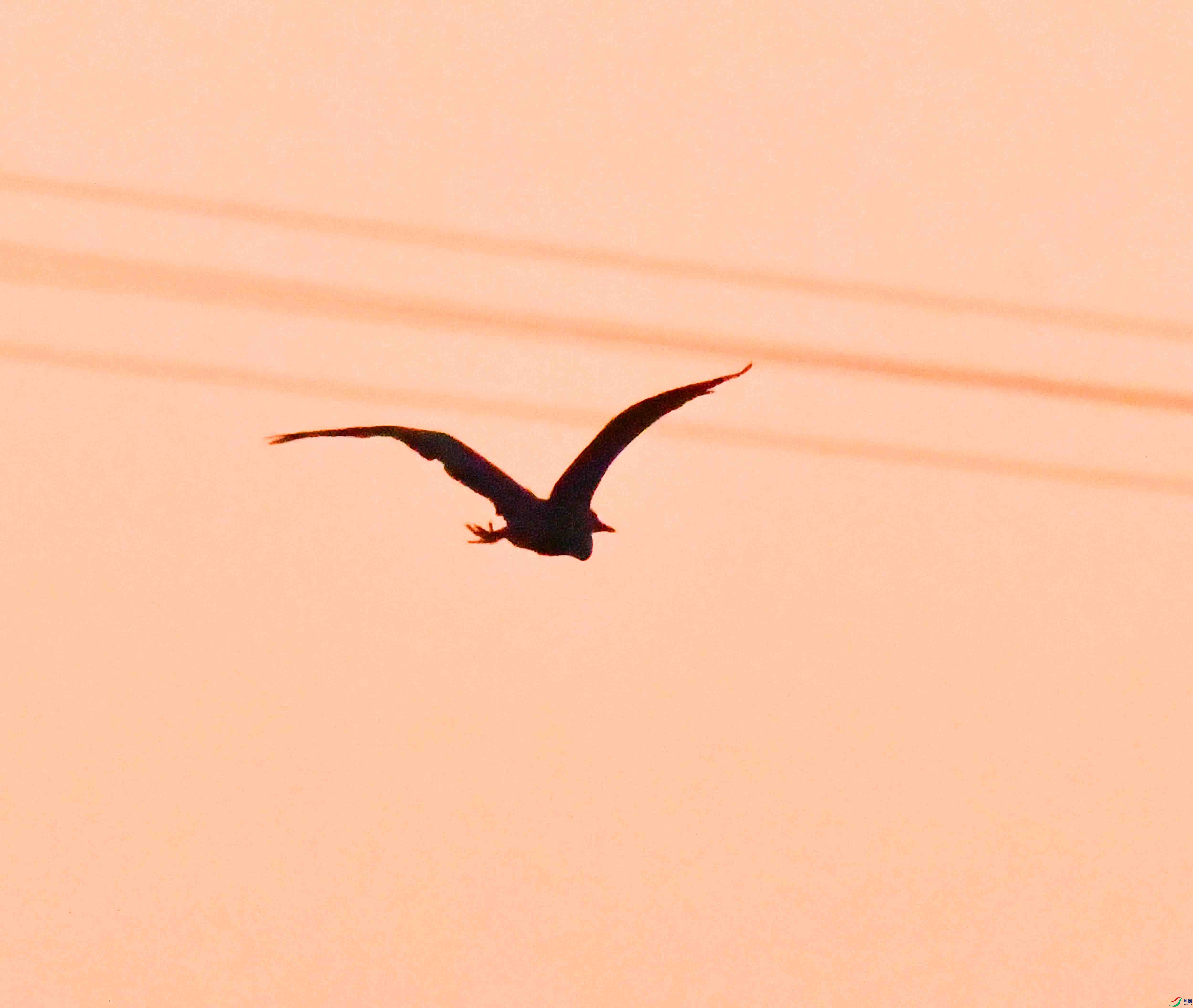 DSC_0771.JPG