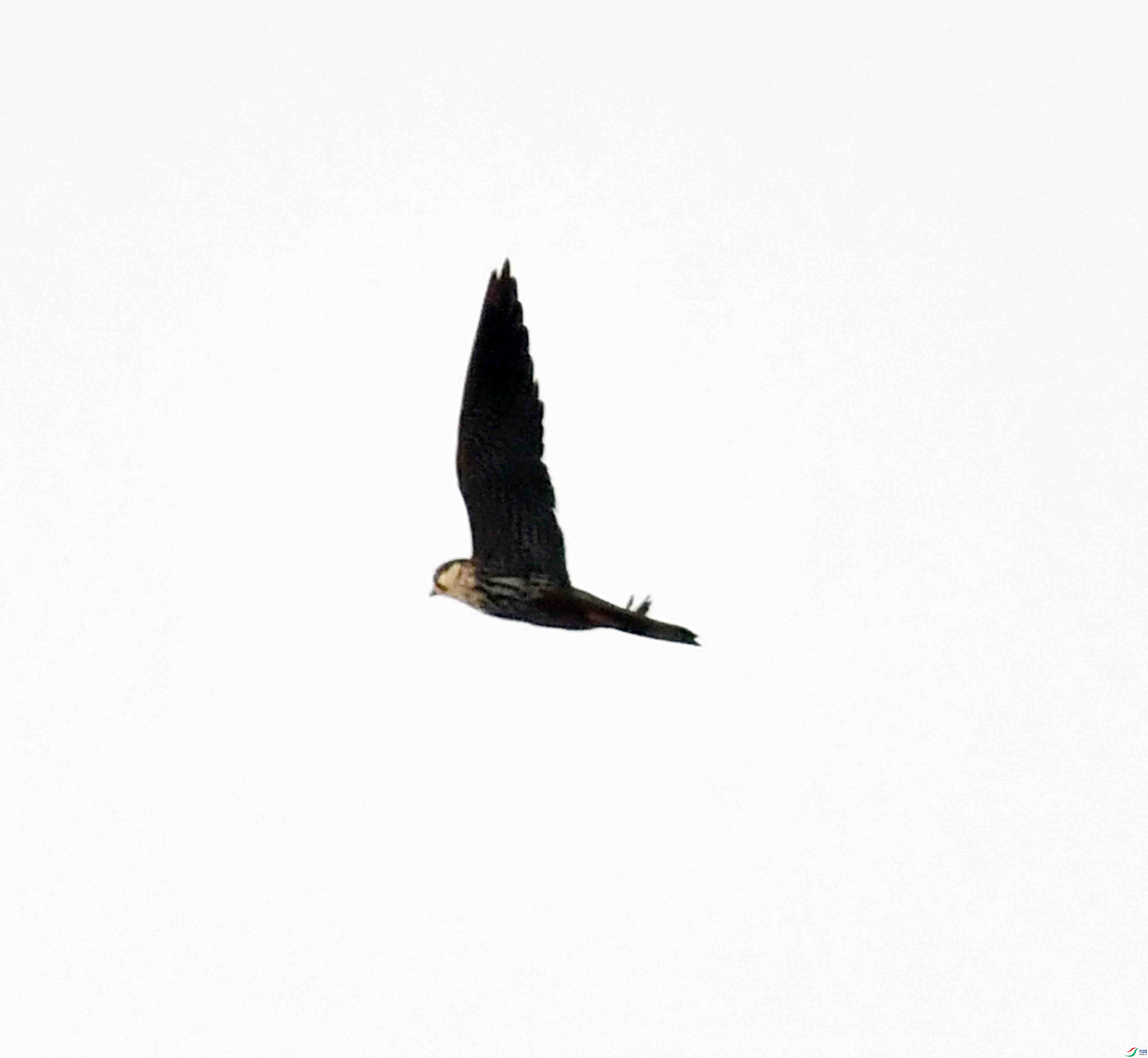 DSC_5189.JPG