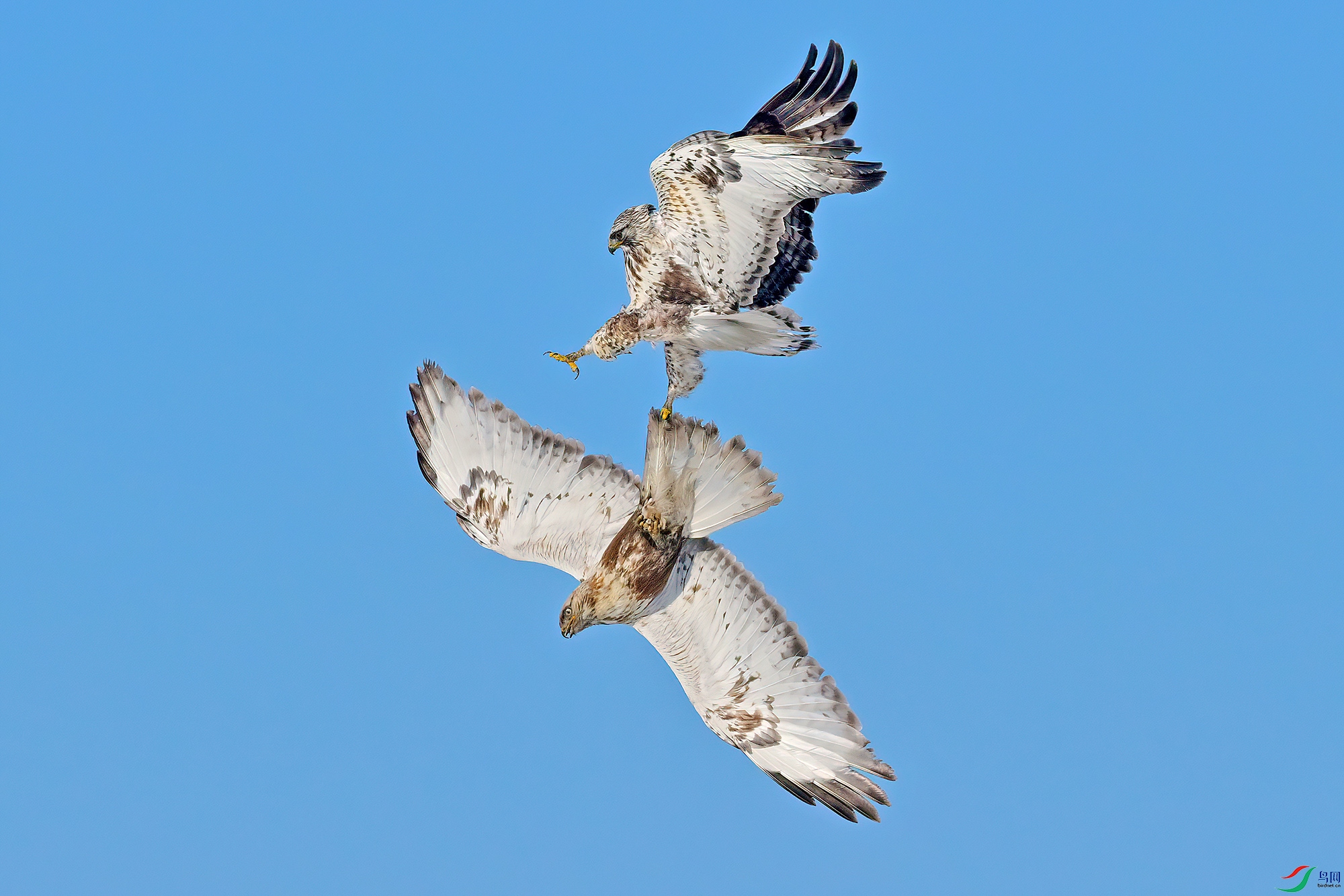 DSC_4360.jpg