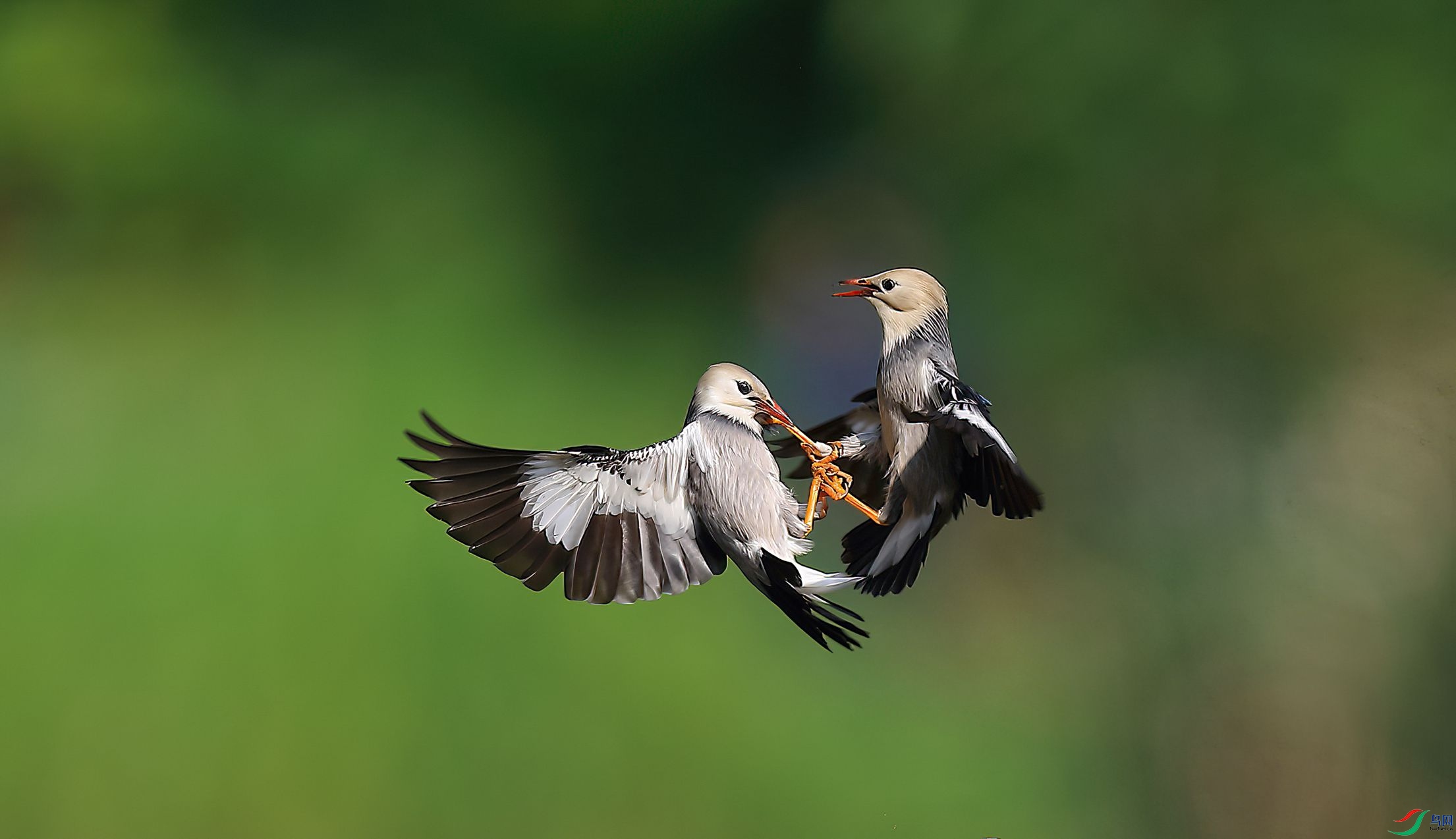 B43I1502-SharpenAI-Motion.jpg
