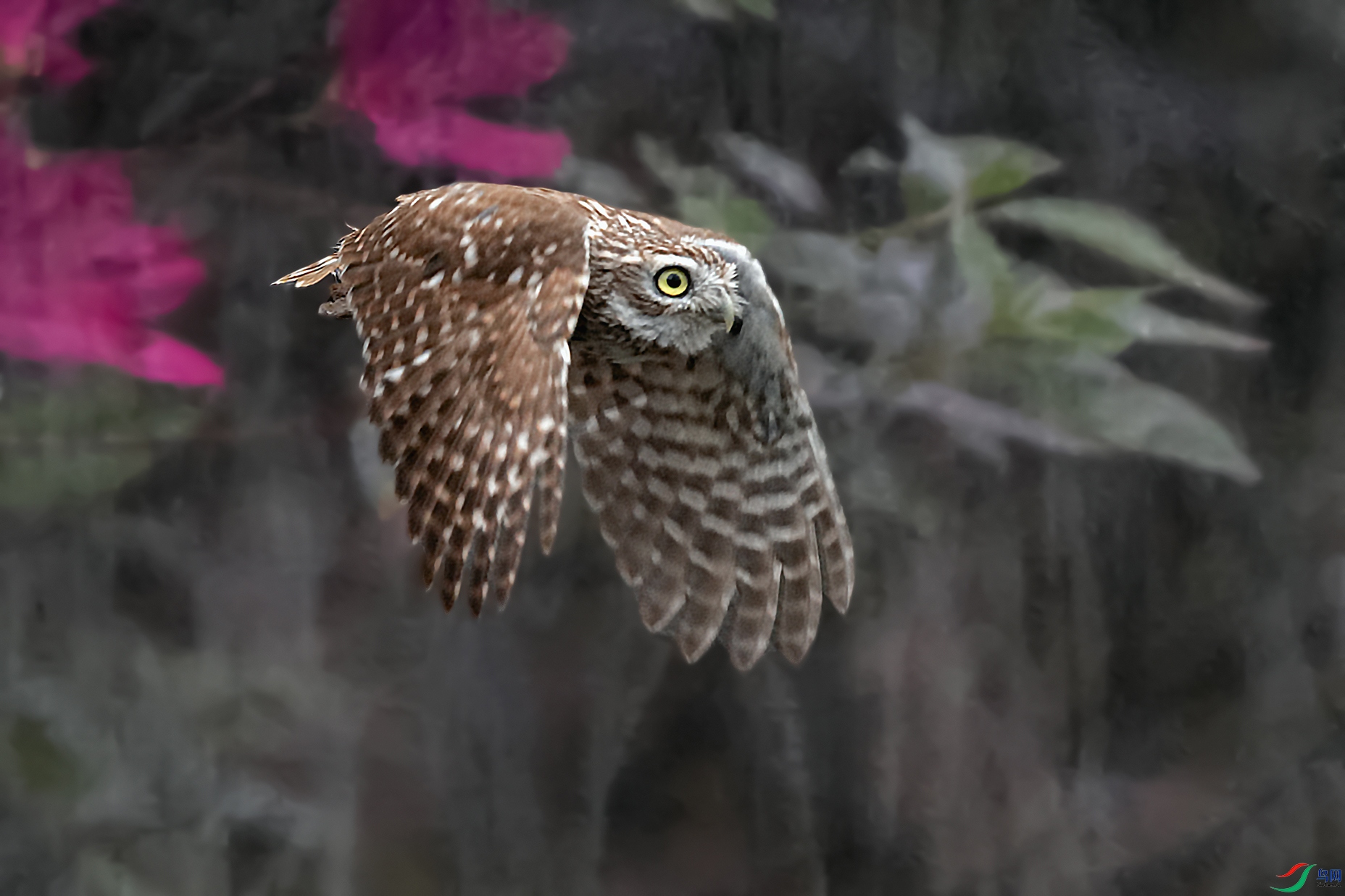 DSC_7567_DxOa.jpg