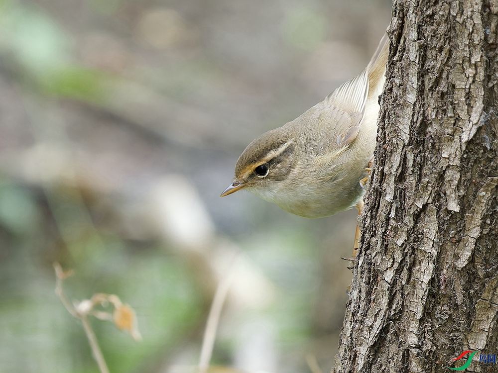 P5040792_DxO - ����.jpg