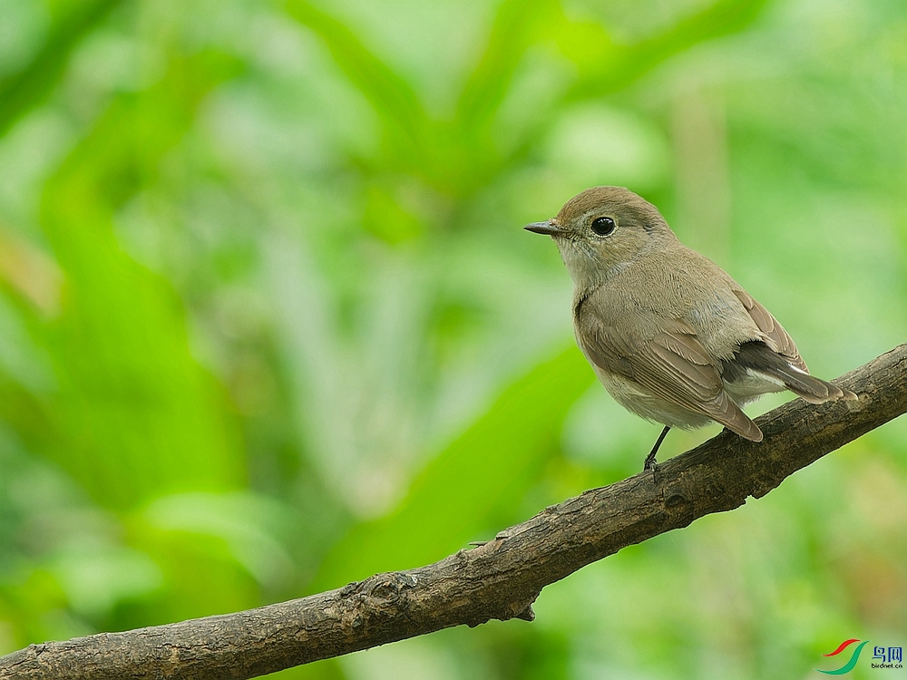 P5050494_DxO - ����.jpg