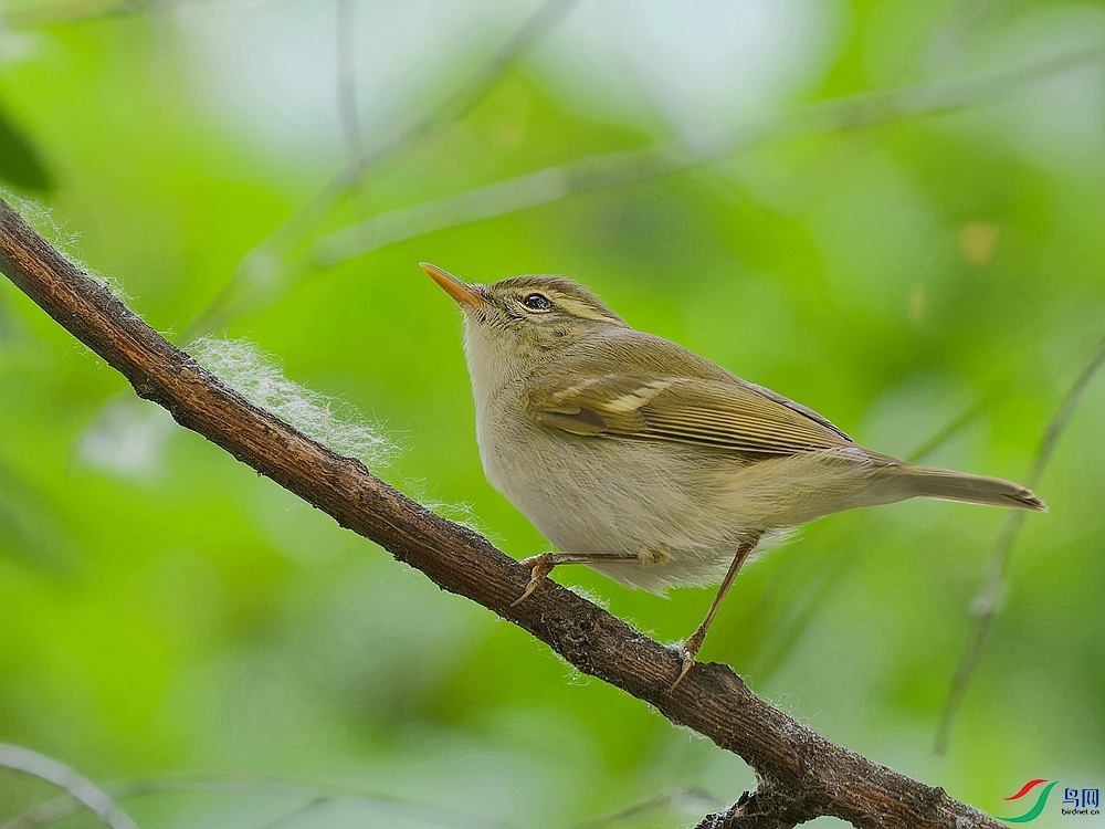 P5120168_DxO - ����.jpg