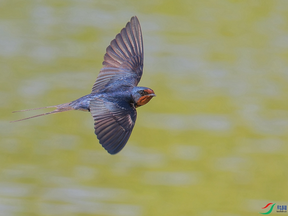 P5170921_DxO - ����.jpg