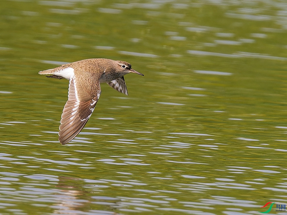 P5171081_DxO - ����.jpg