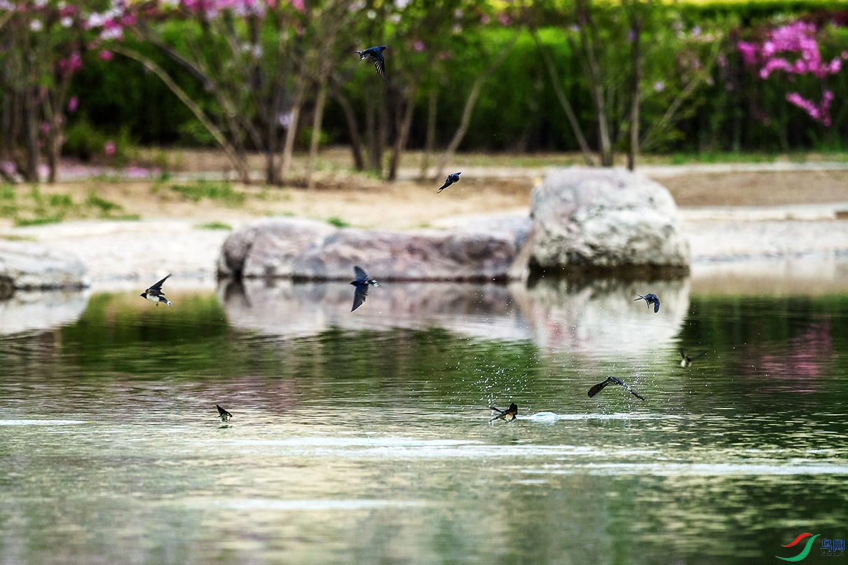 _DSC9981.jpg