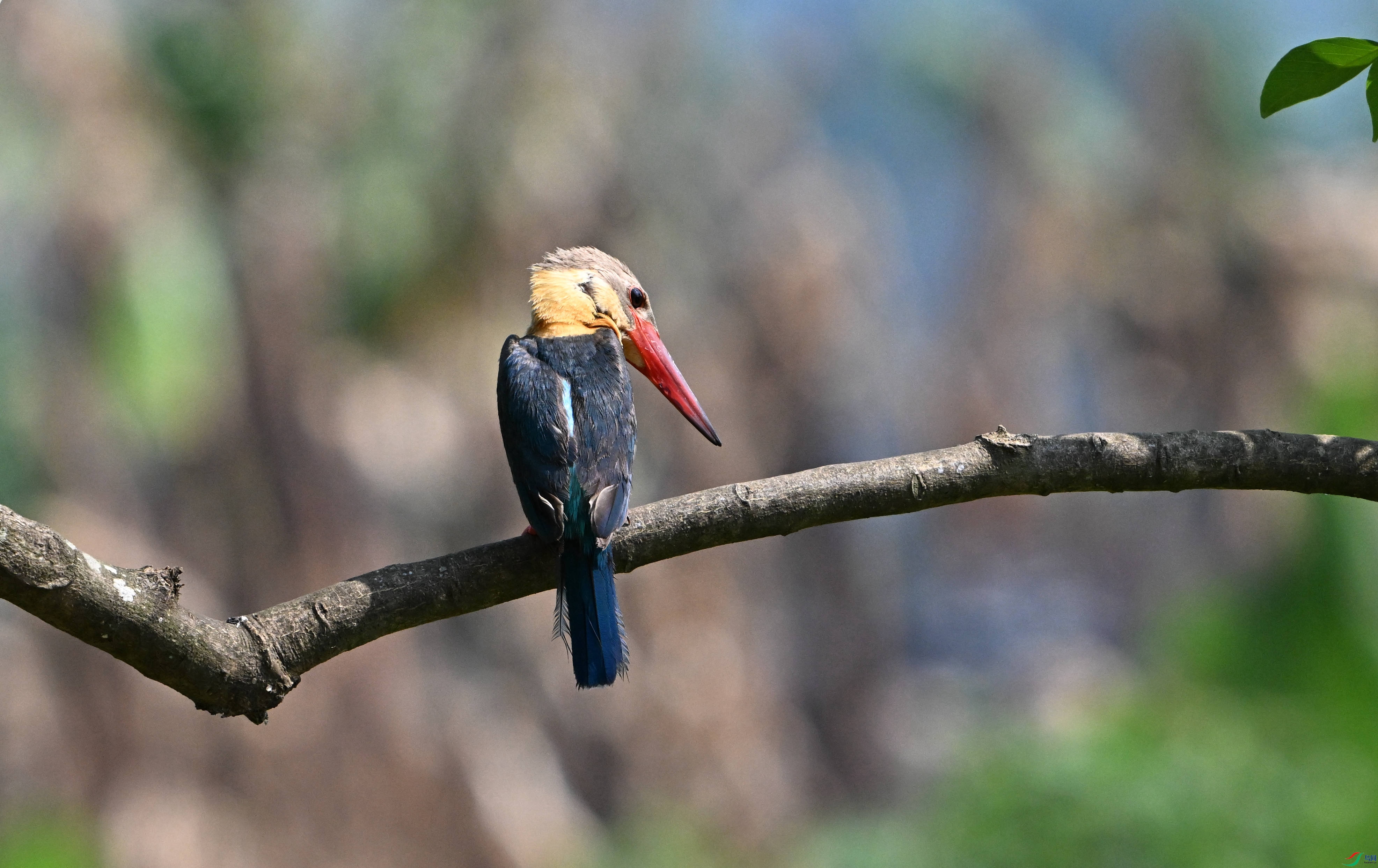 ������� �ǰ� (1).JPG