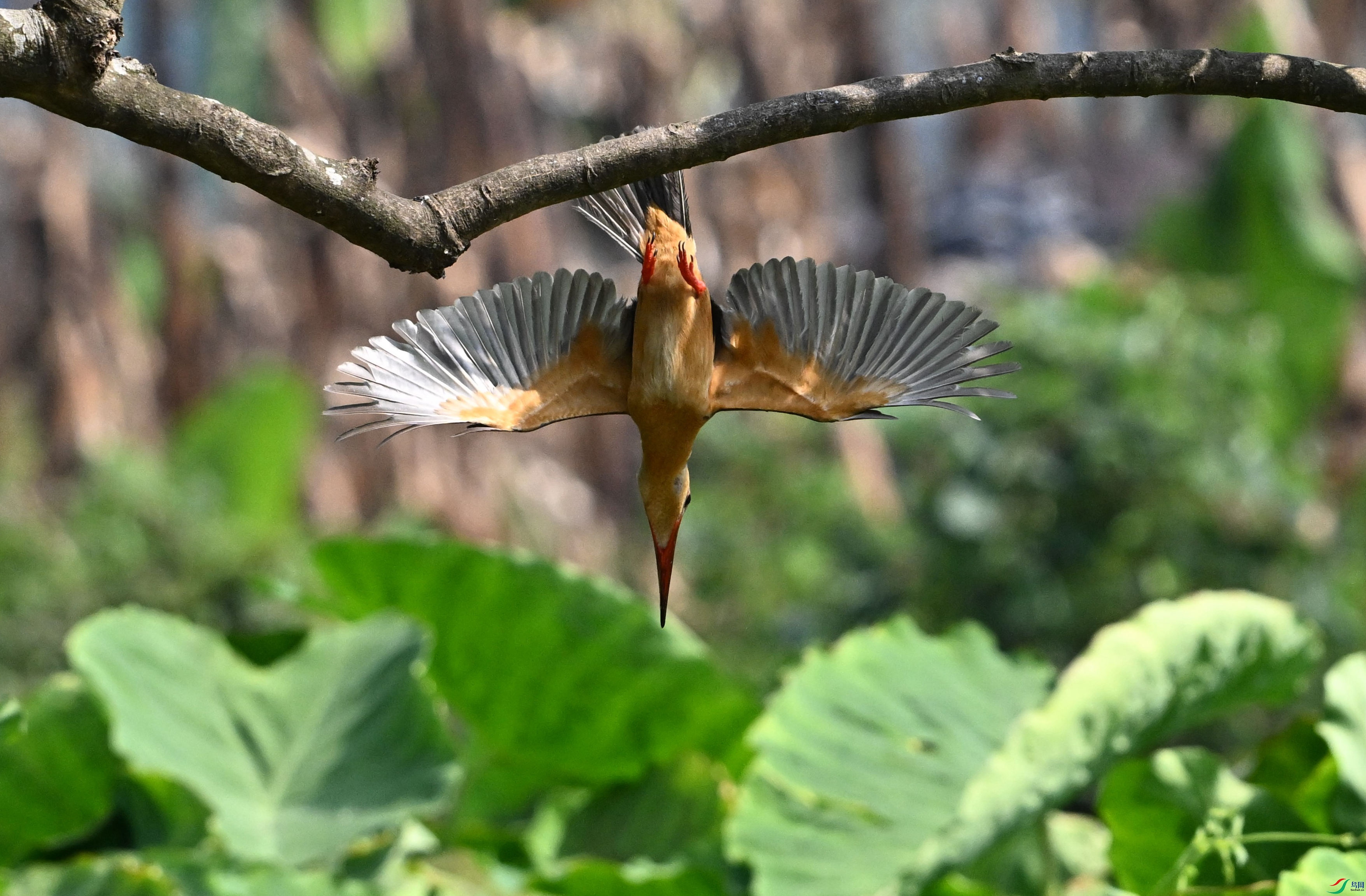 ������� �ǰ� (2).JPG