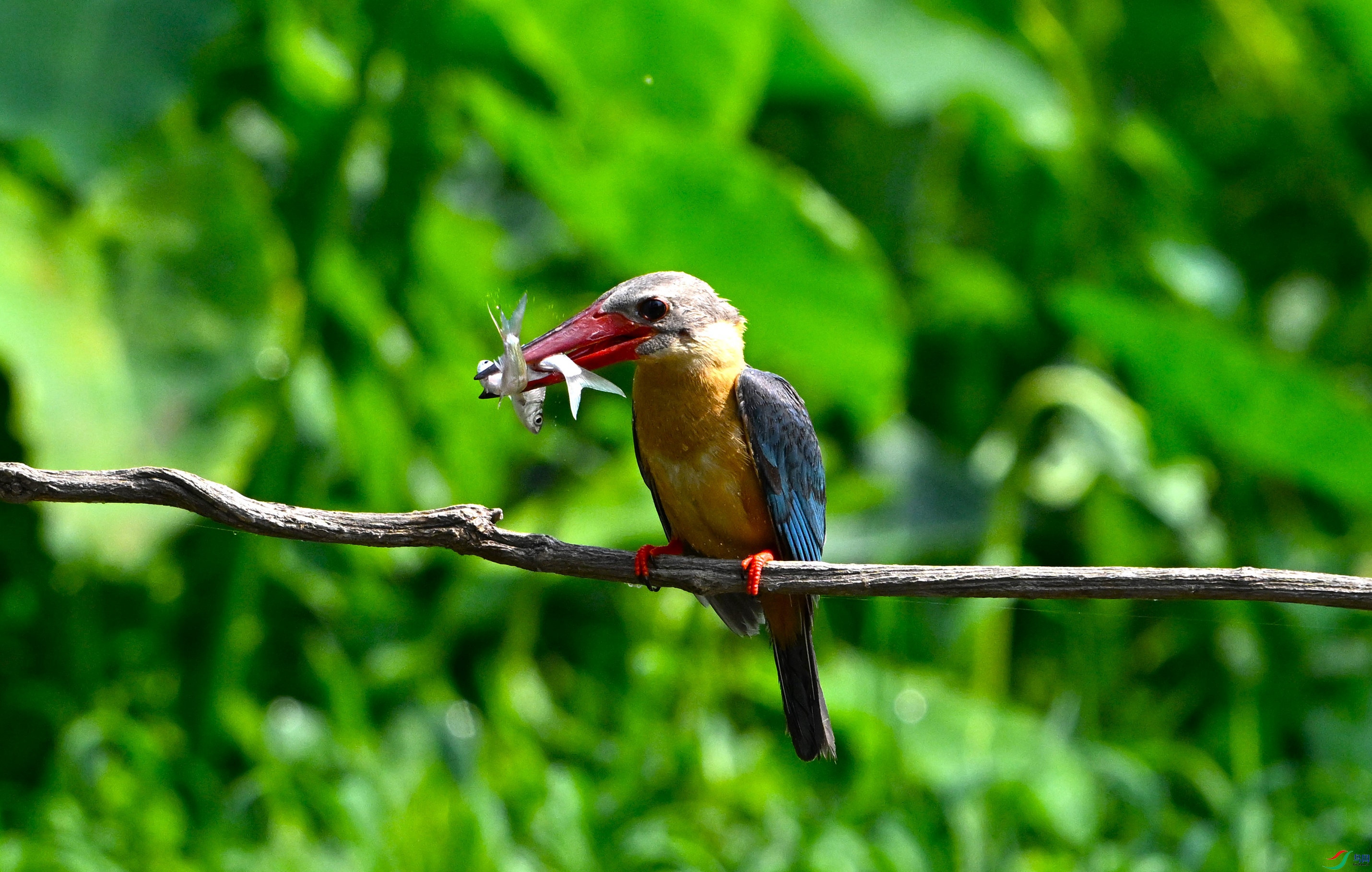 ������� �ǰ� (3).JPG