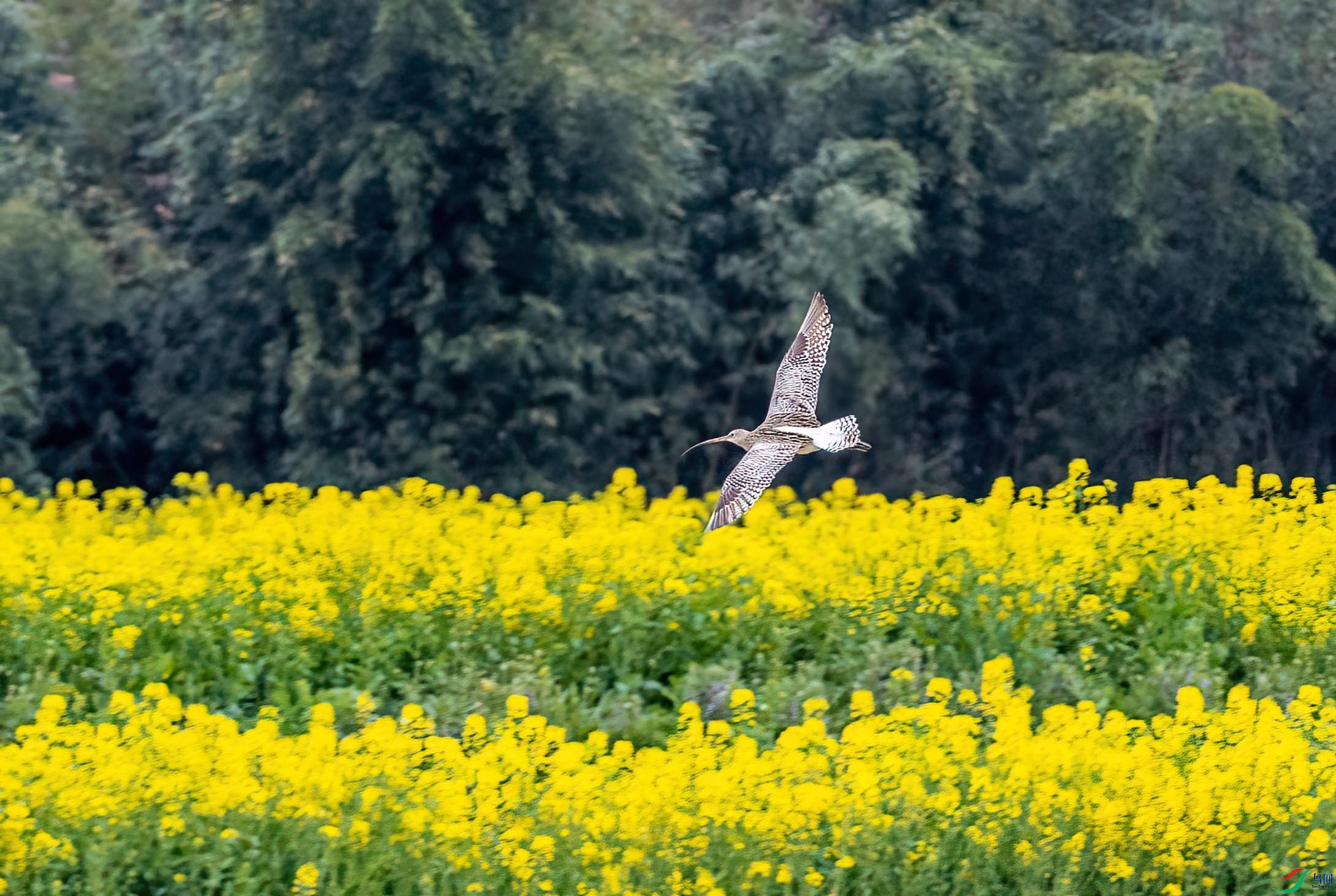 DSC_7289 ����.jpg