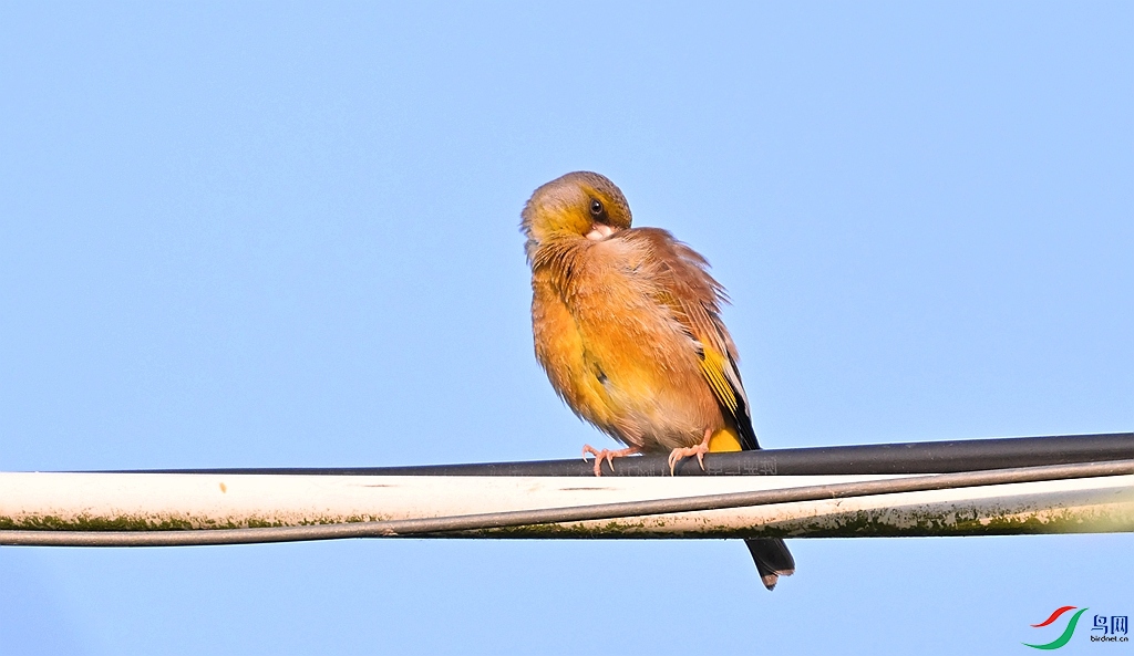 DSC_5708.JPG