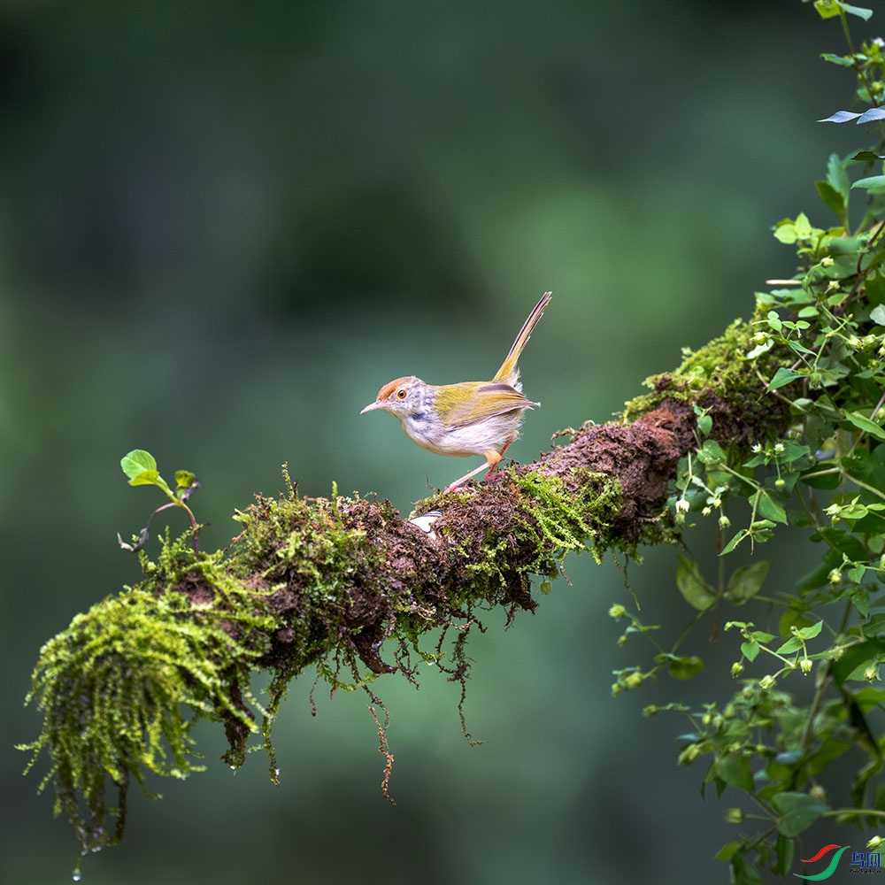 DSC_5653-����ǿ-NR ���� 2.jpg