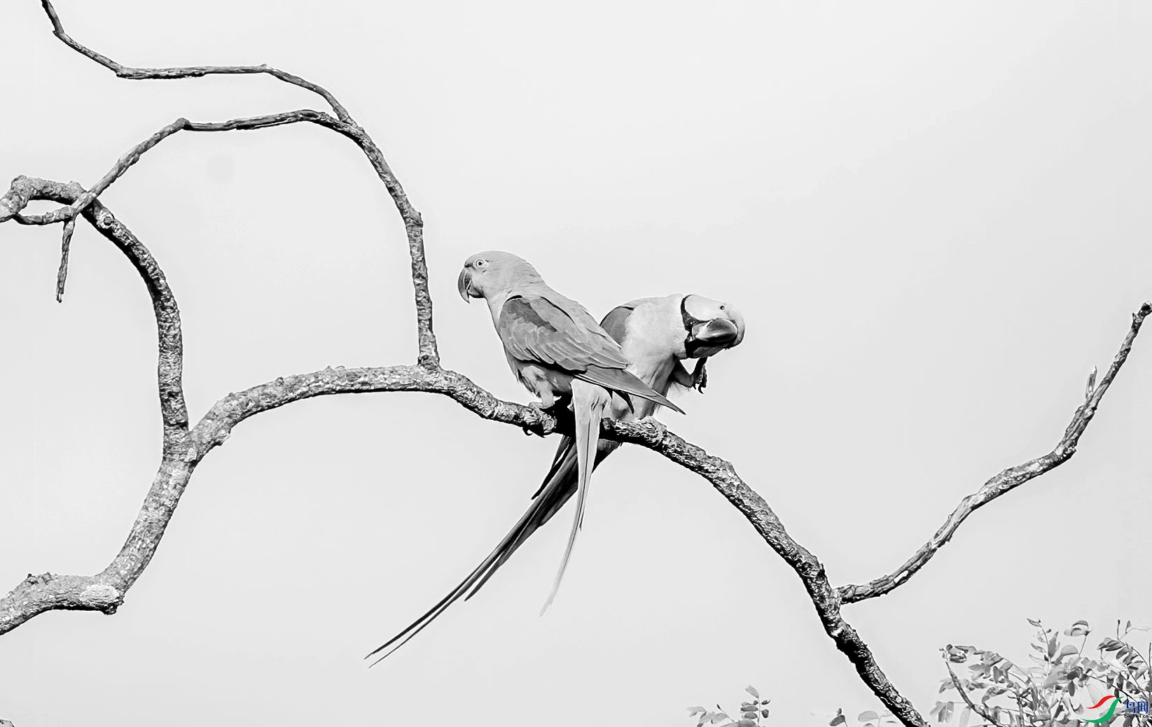 AC3I3528 ����_����.jpg