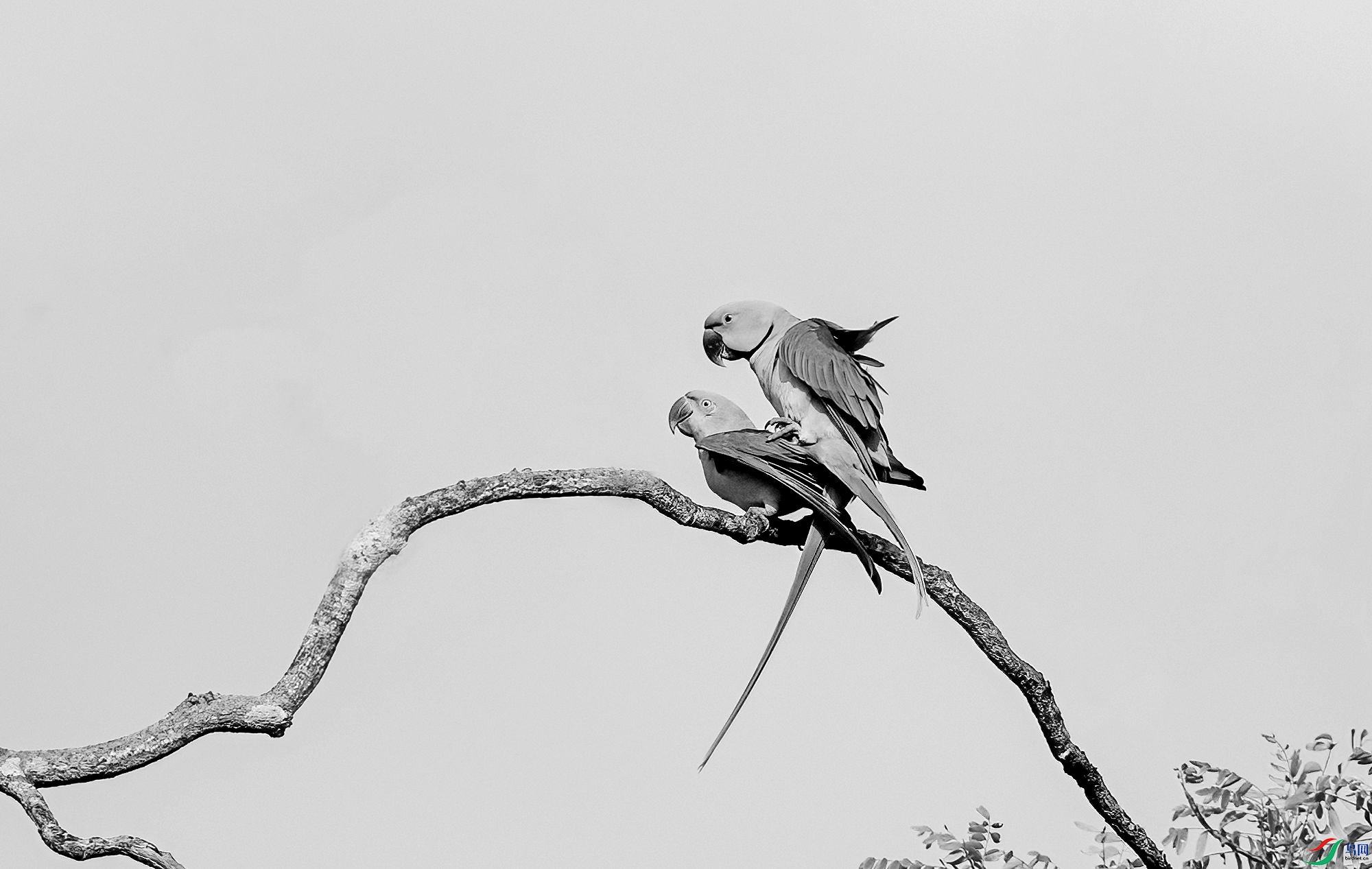 AC3I3585 ����_����.jpg