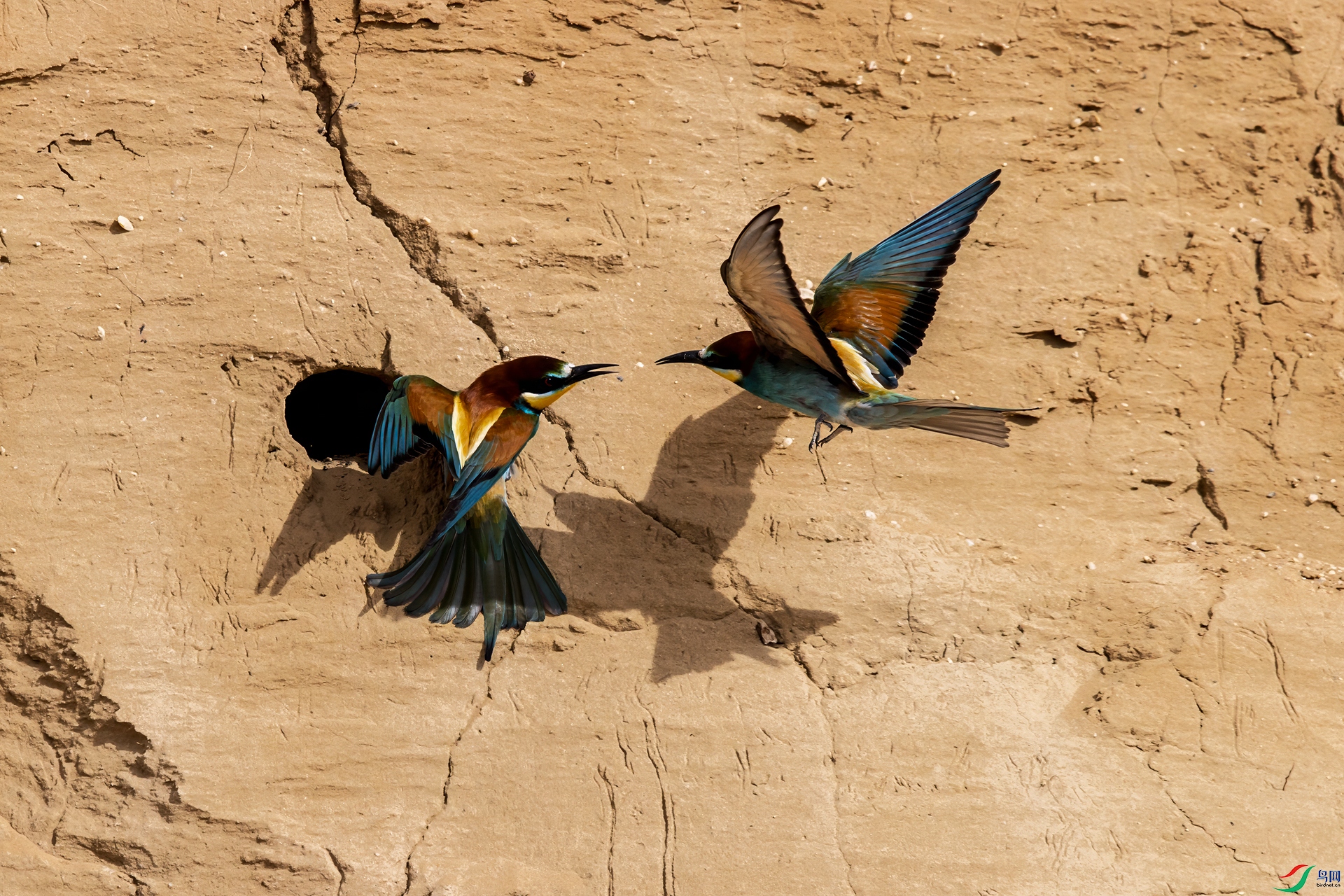 IMGL0101 ����.jpg