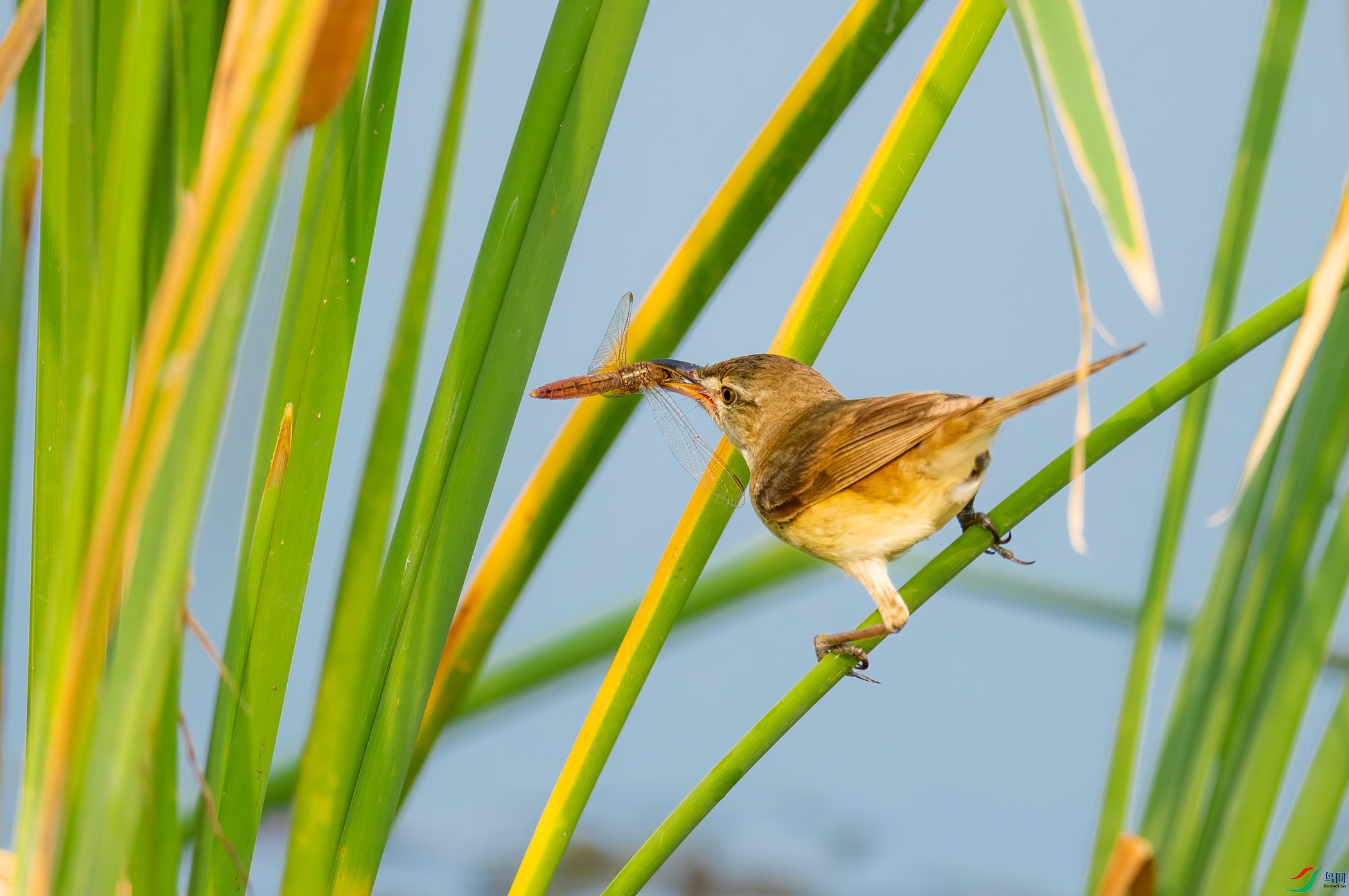 sen2016 7-10-11-�༭-2.jpg