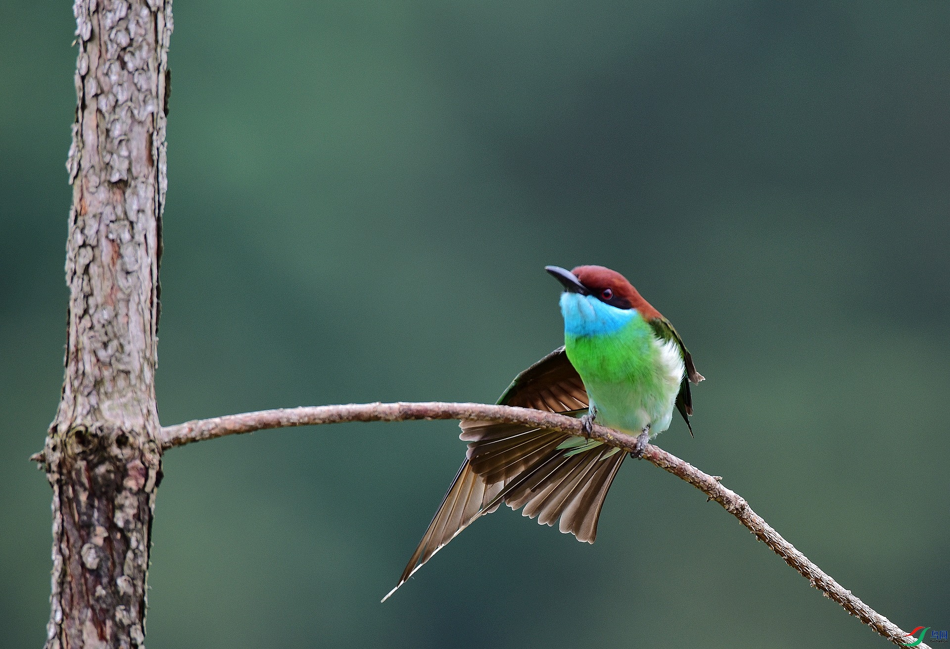 D8I_5375.jpg