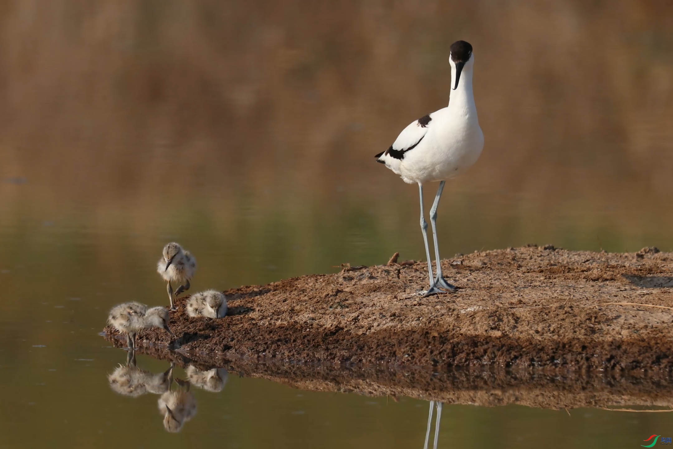 6��1��(1) ����.jpg