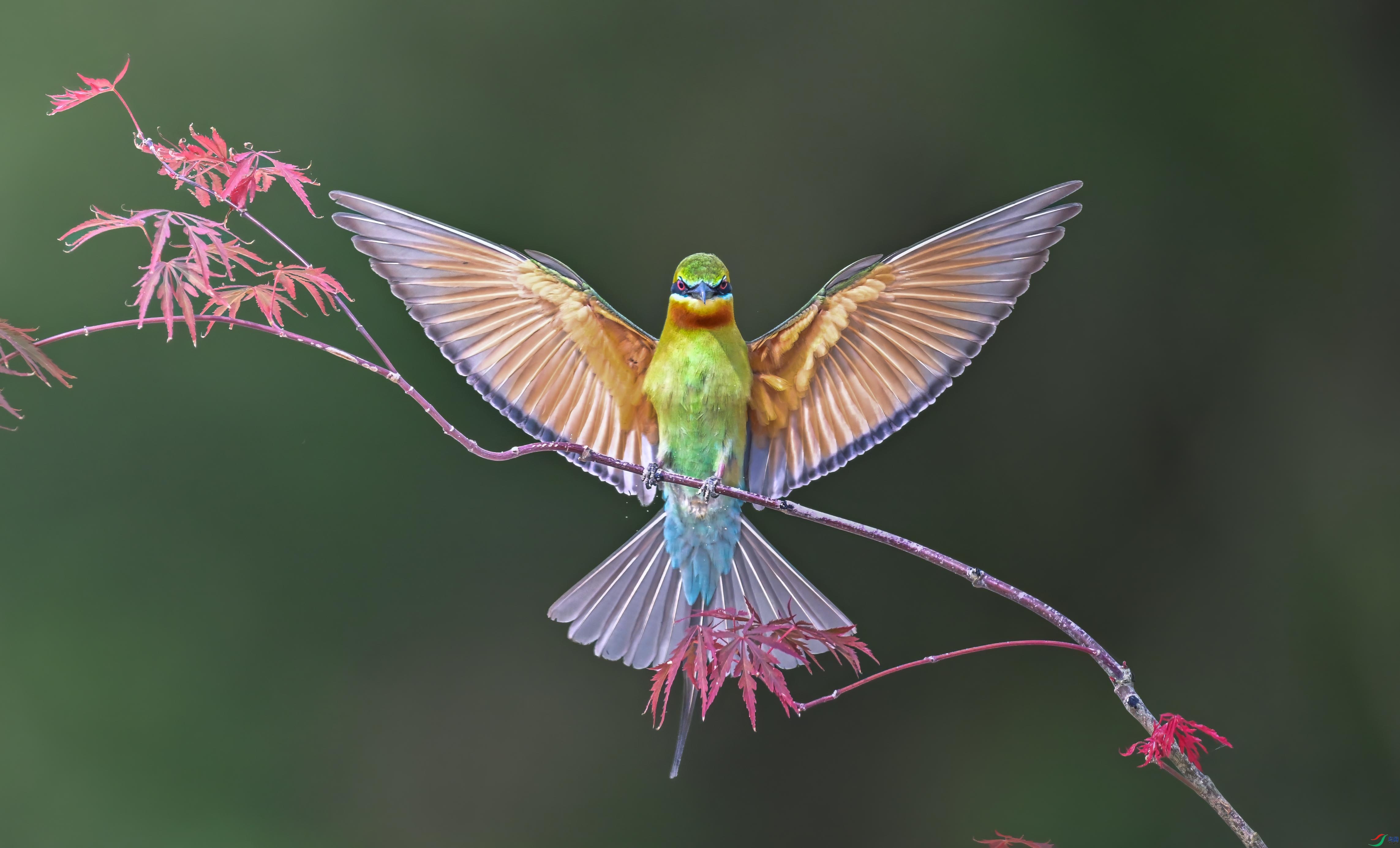 DSC_76262.jpg