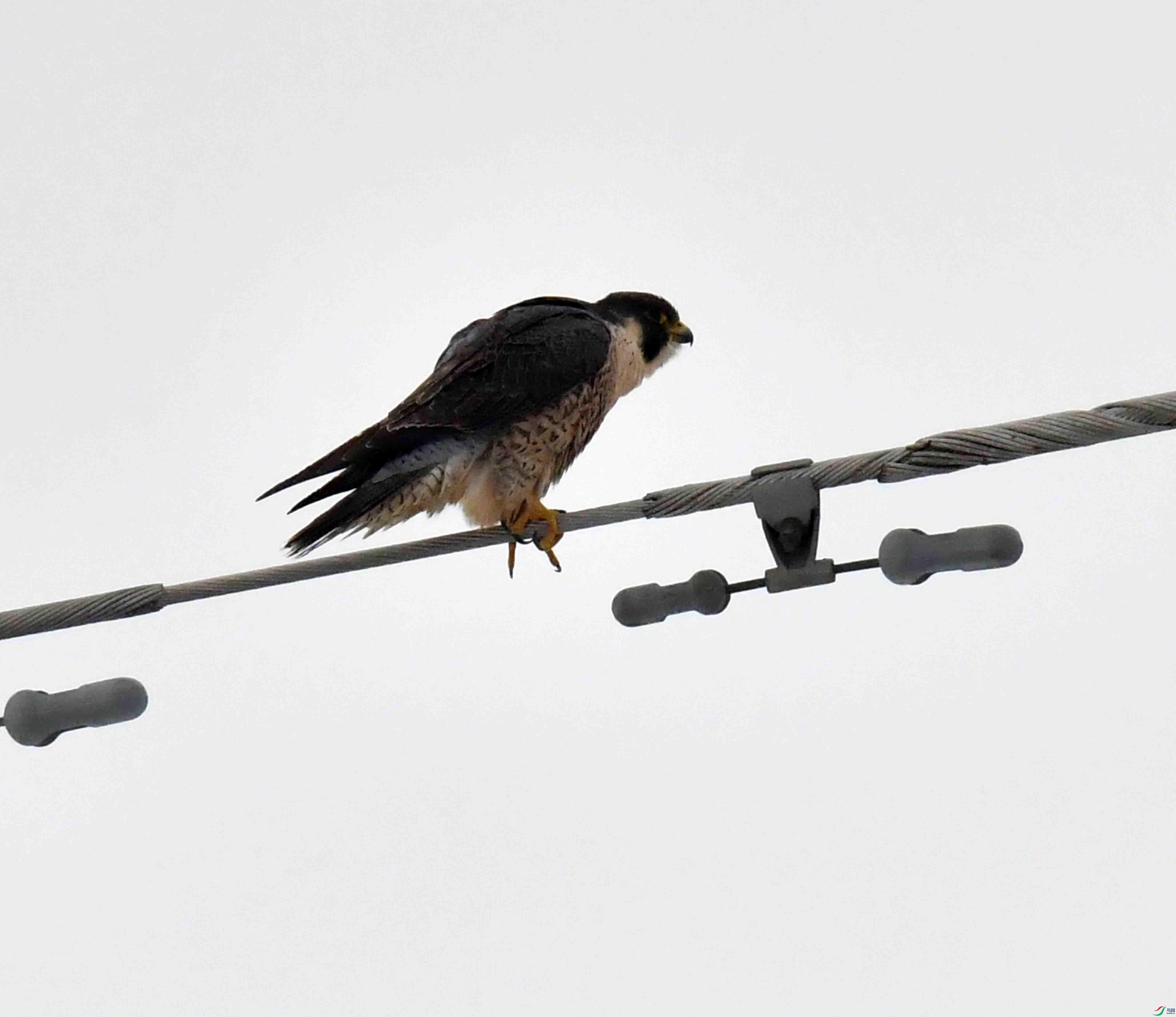 DSC_3804.JPG