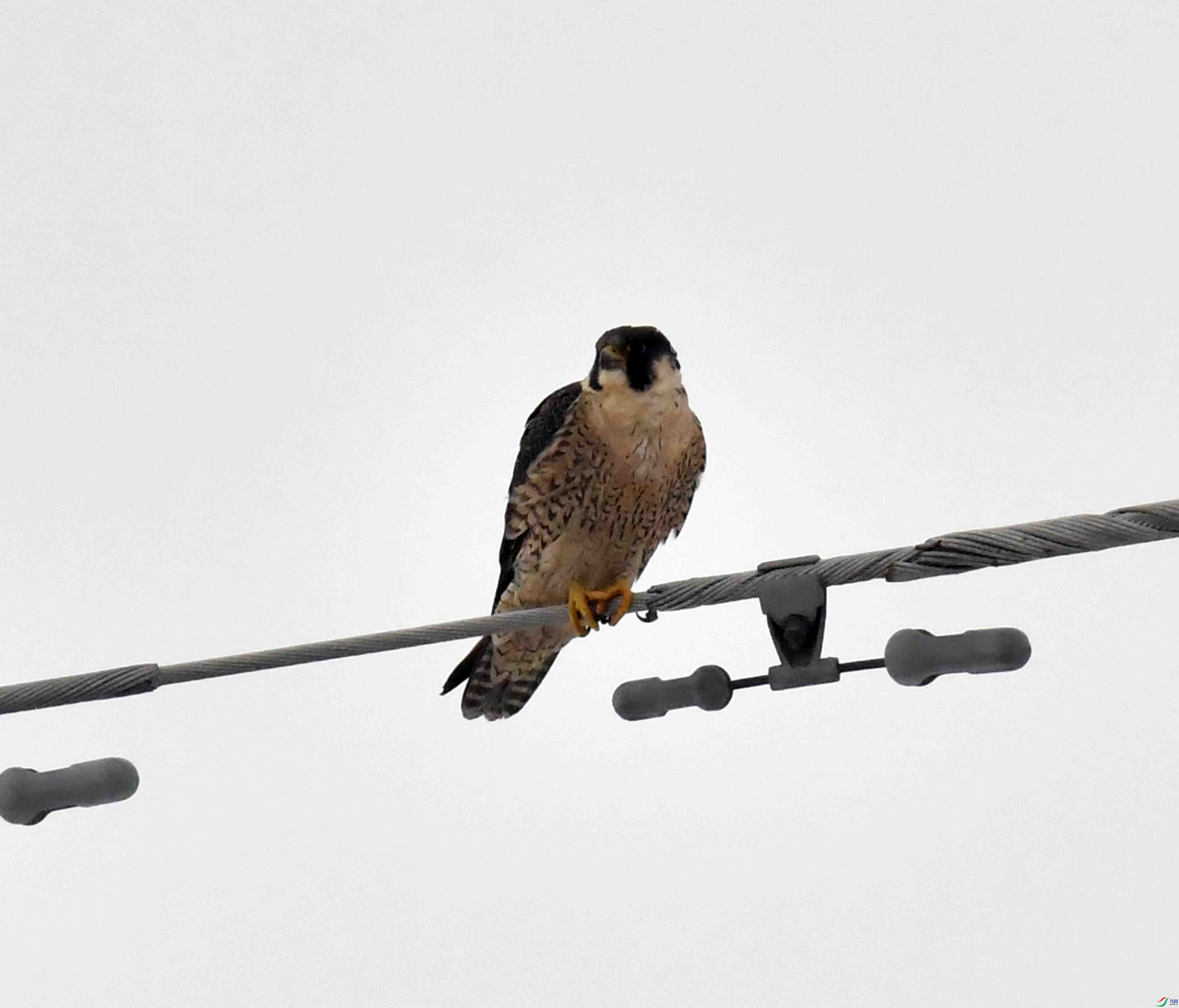 DSC_3808.JPG