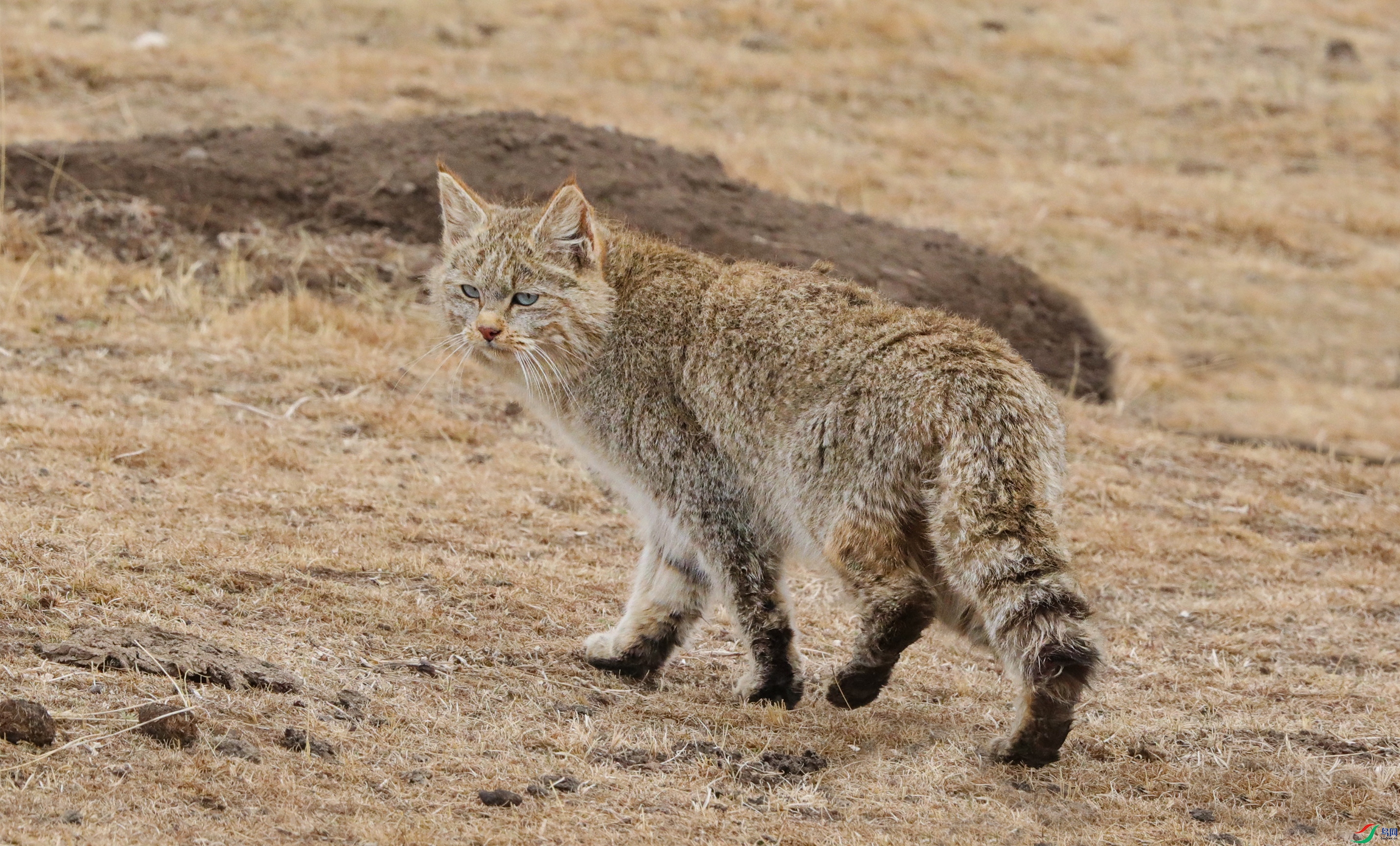 000A5436 ����555.jpg