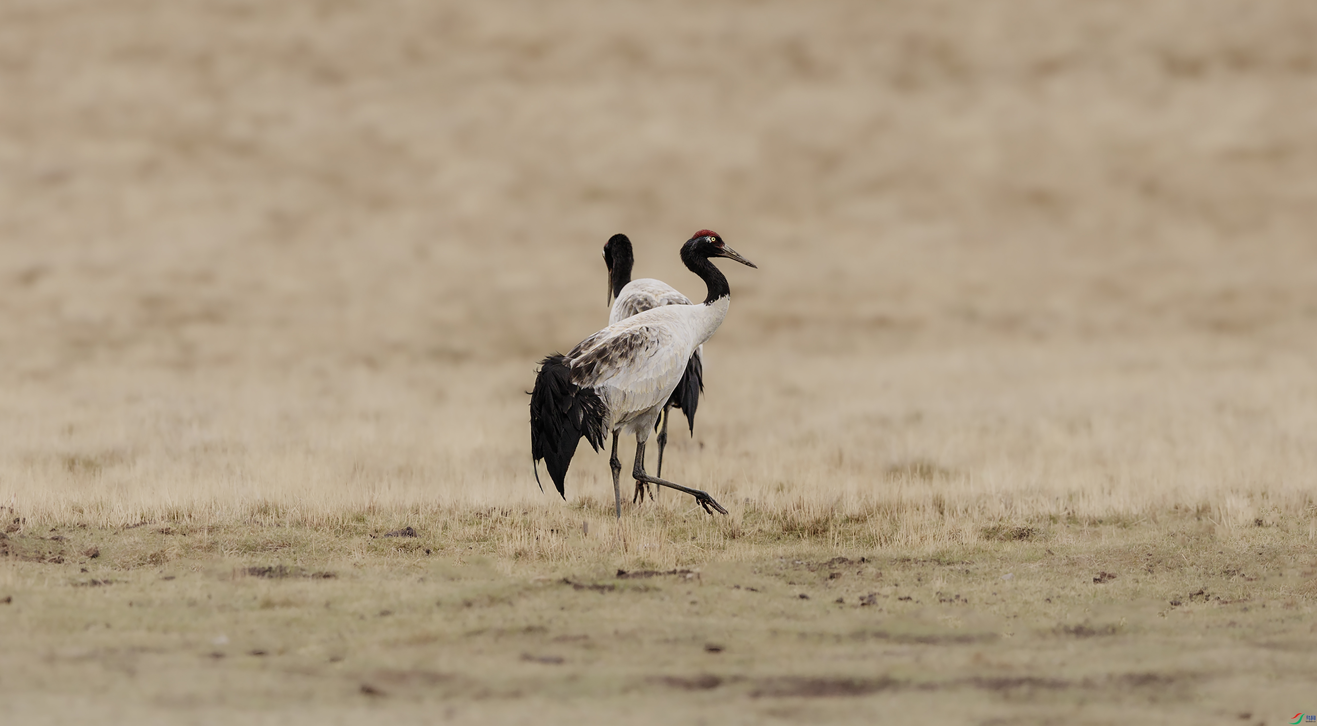 7X5A6710 ����444.jpg