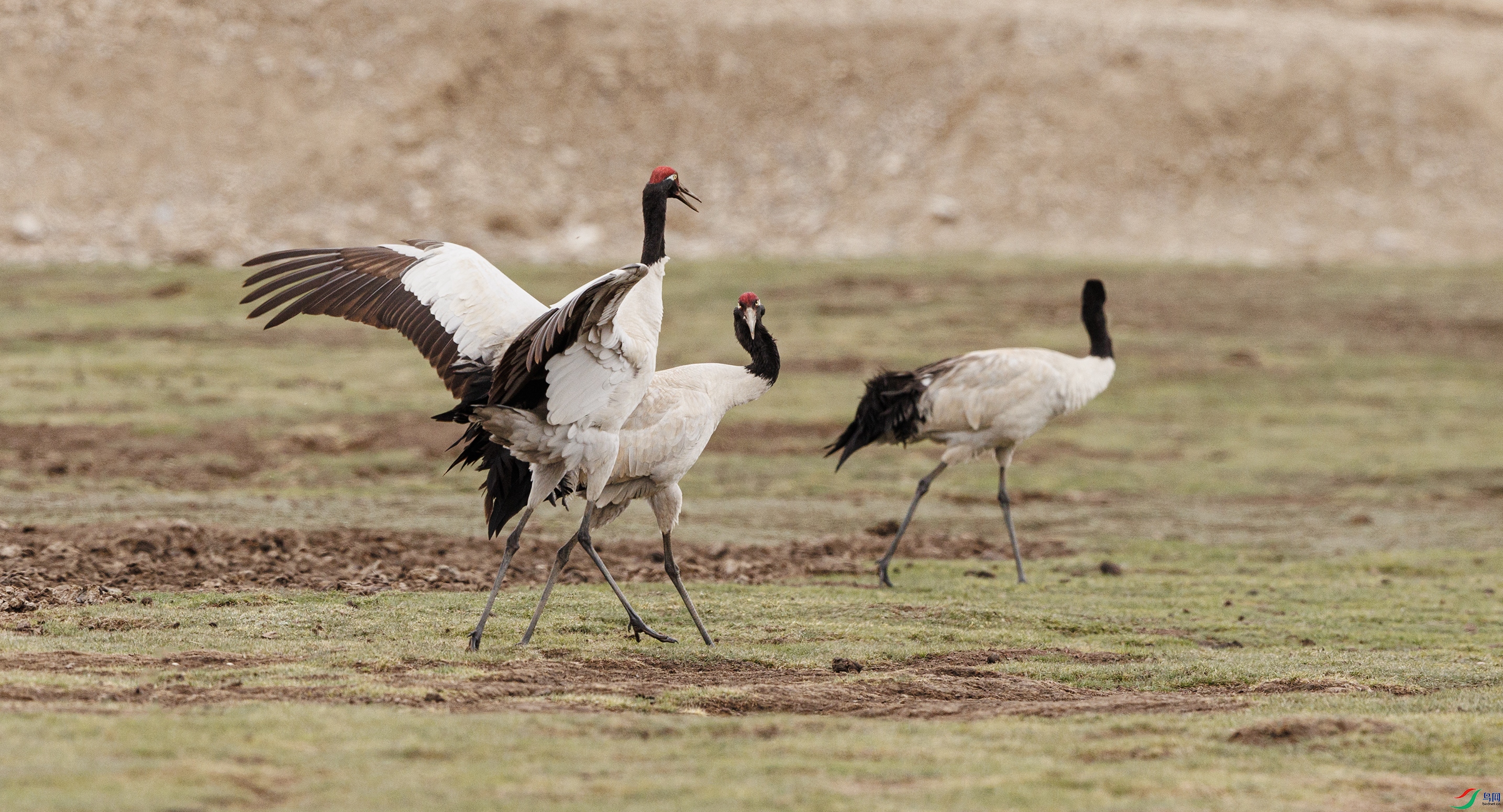 7X5A6907 ����7777.jpg