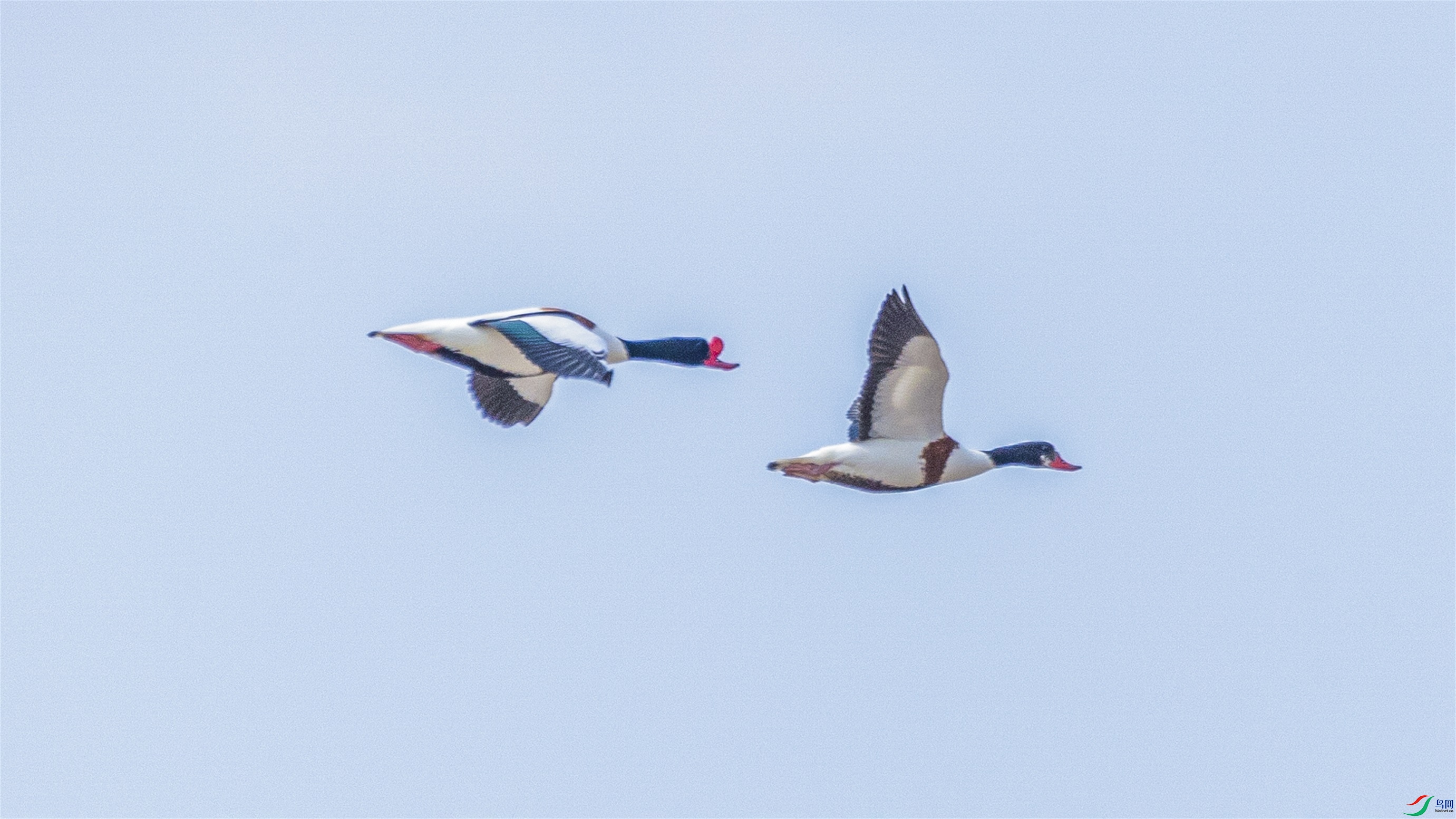 1K3A2153 ����1.jpg