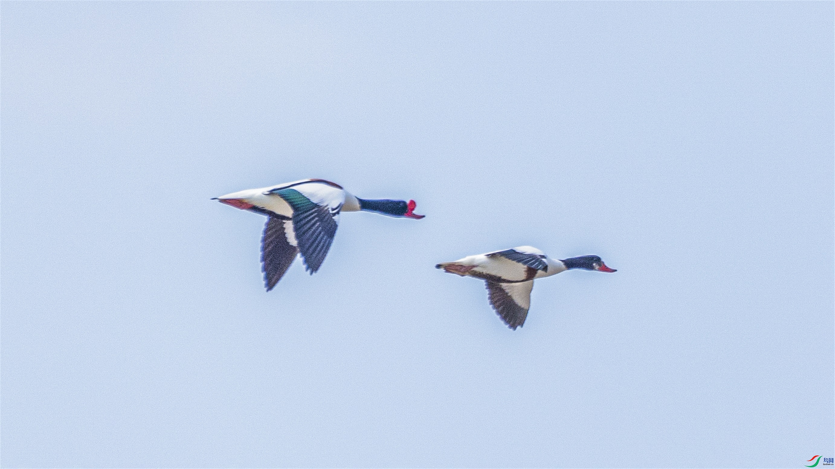 1K3A2154 ����1.jpg