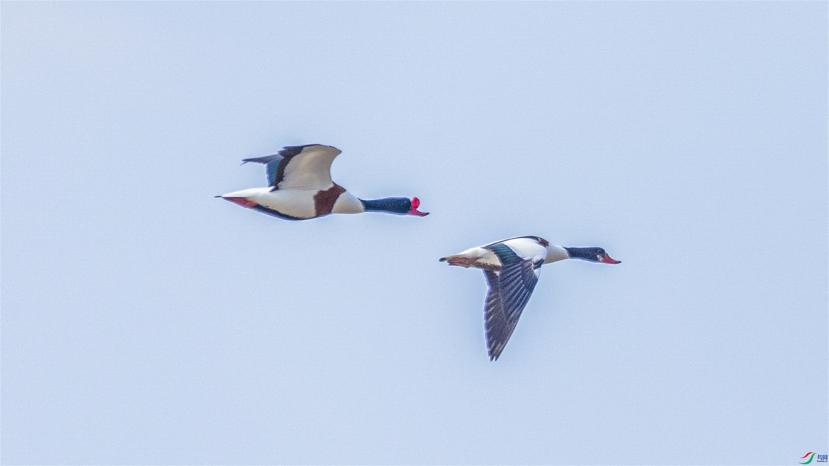 1K3A2155 ����1.jpg