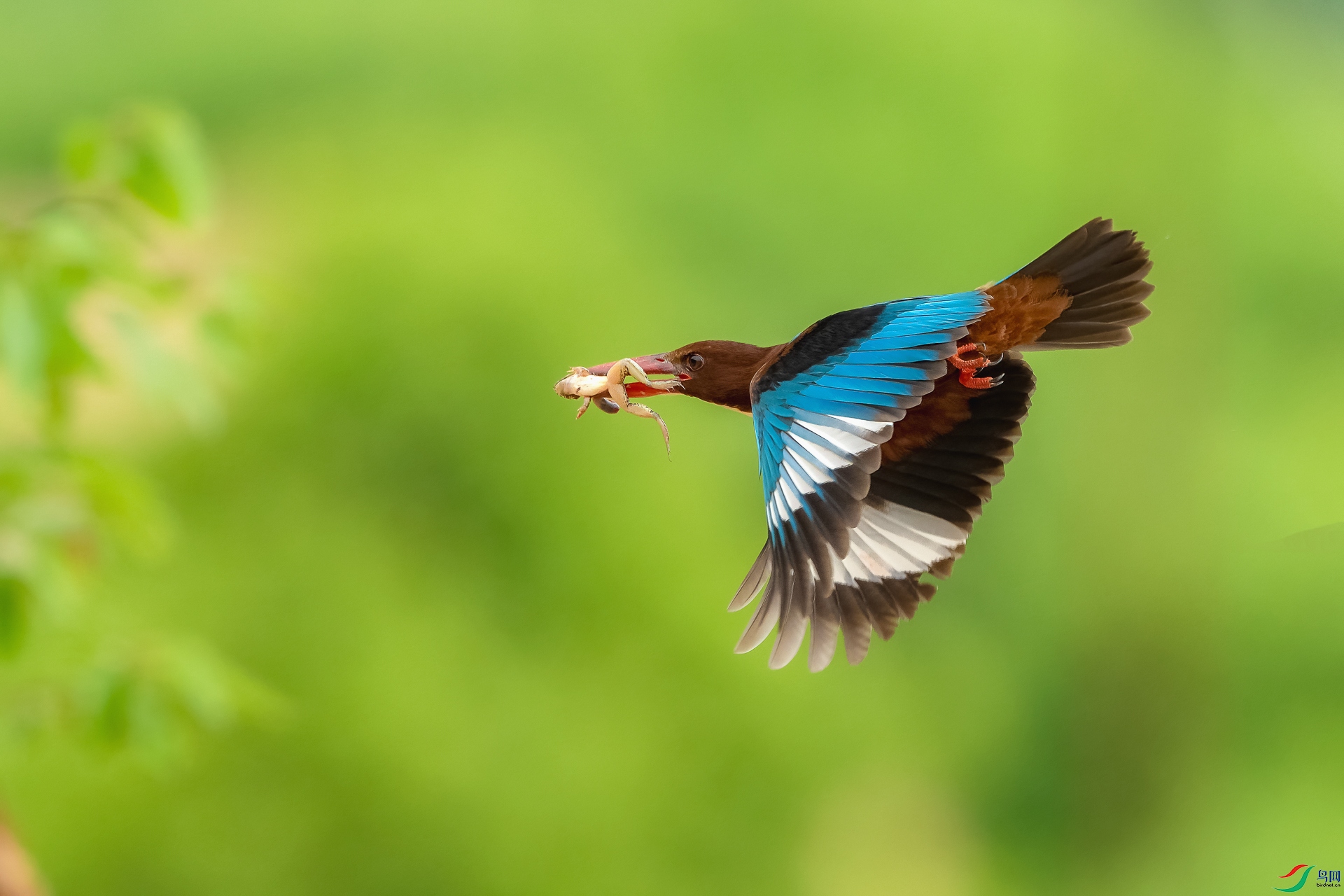 _DSC3893 ����_1.jpg