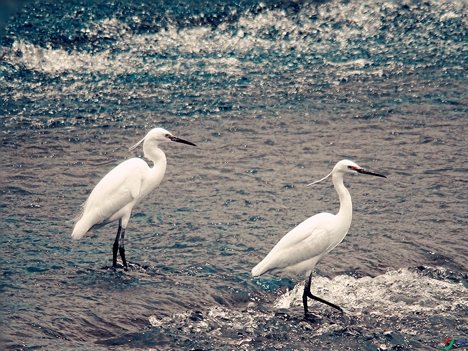 DSC04536_����.jpg