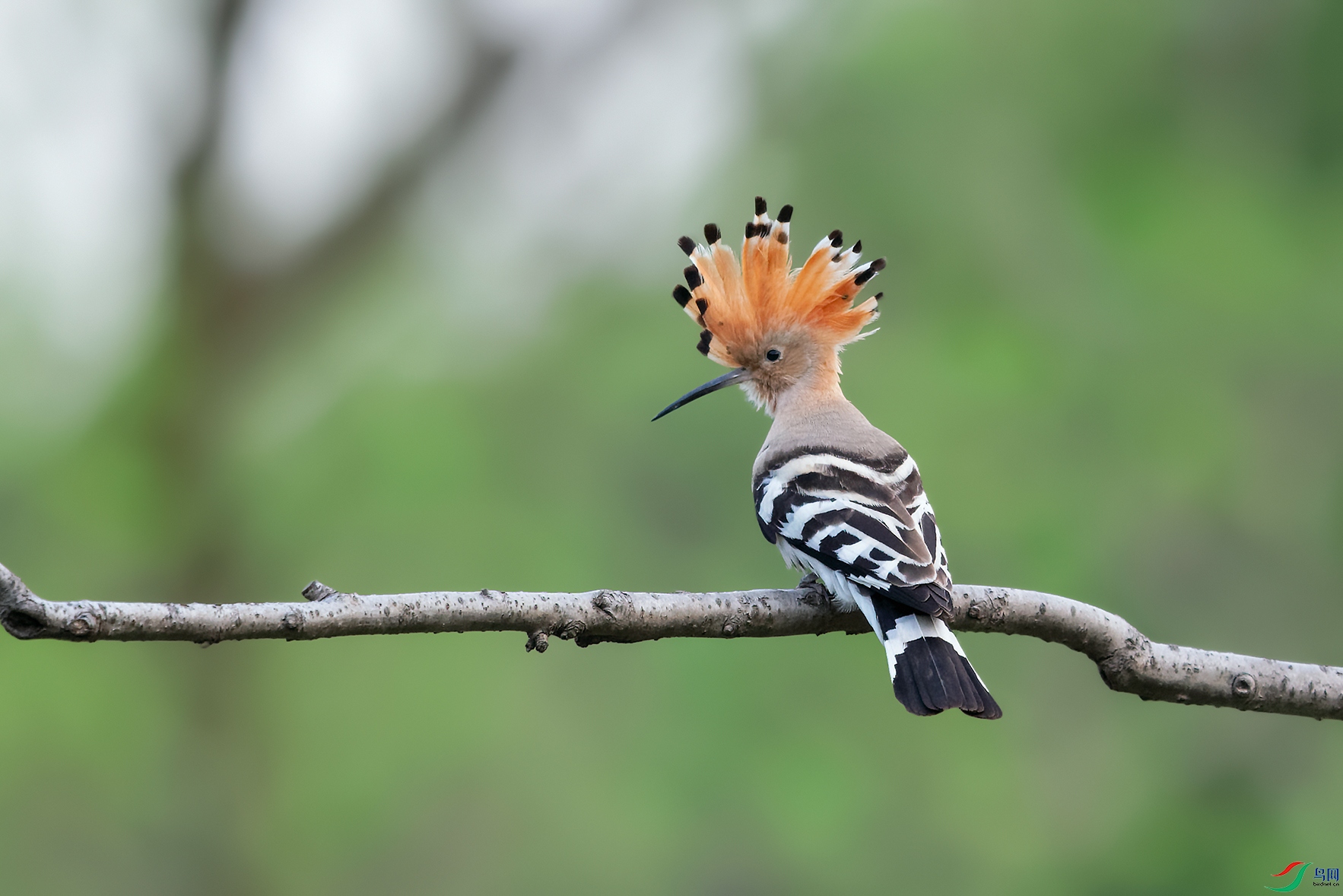 DSC_8683_DxOa6.jpg