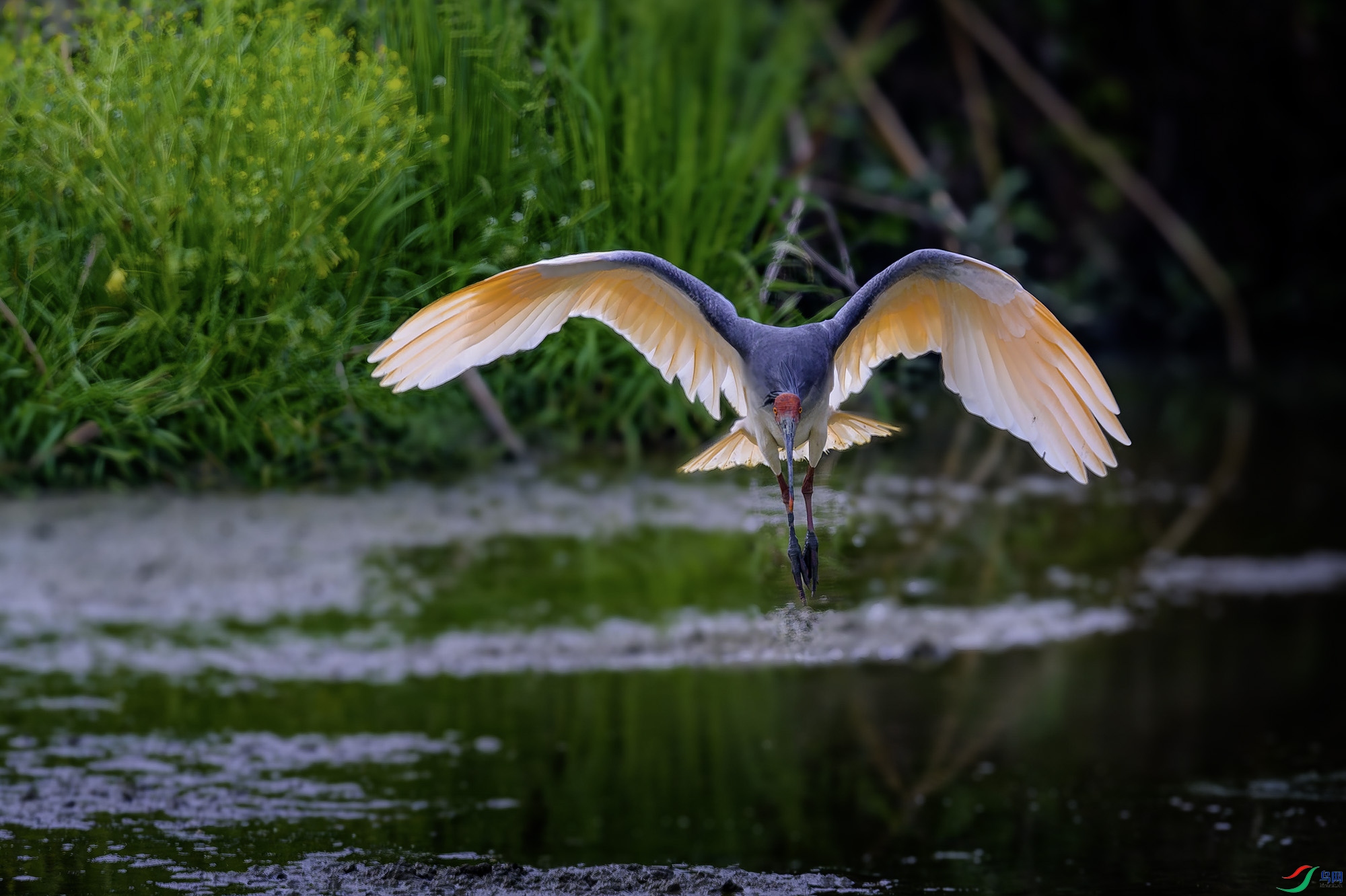 _DSC5125a-����ǿ-NR ����.jpg